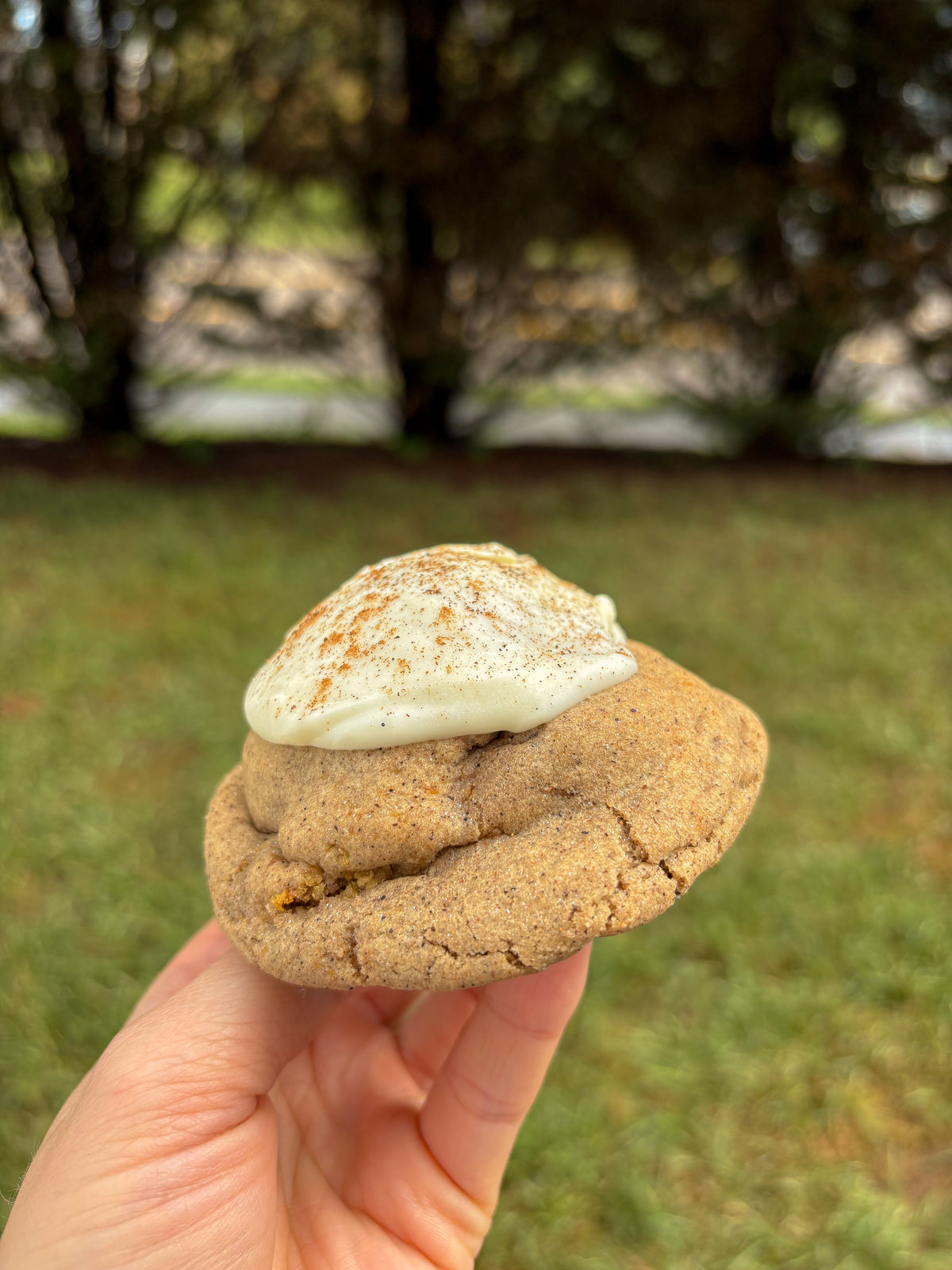 Pumpkin Cream Cold Brew Cookie Recipe