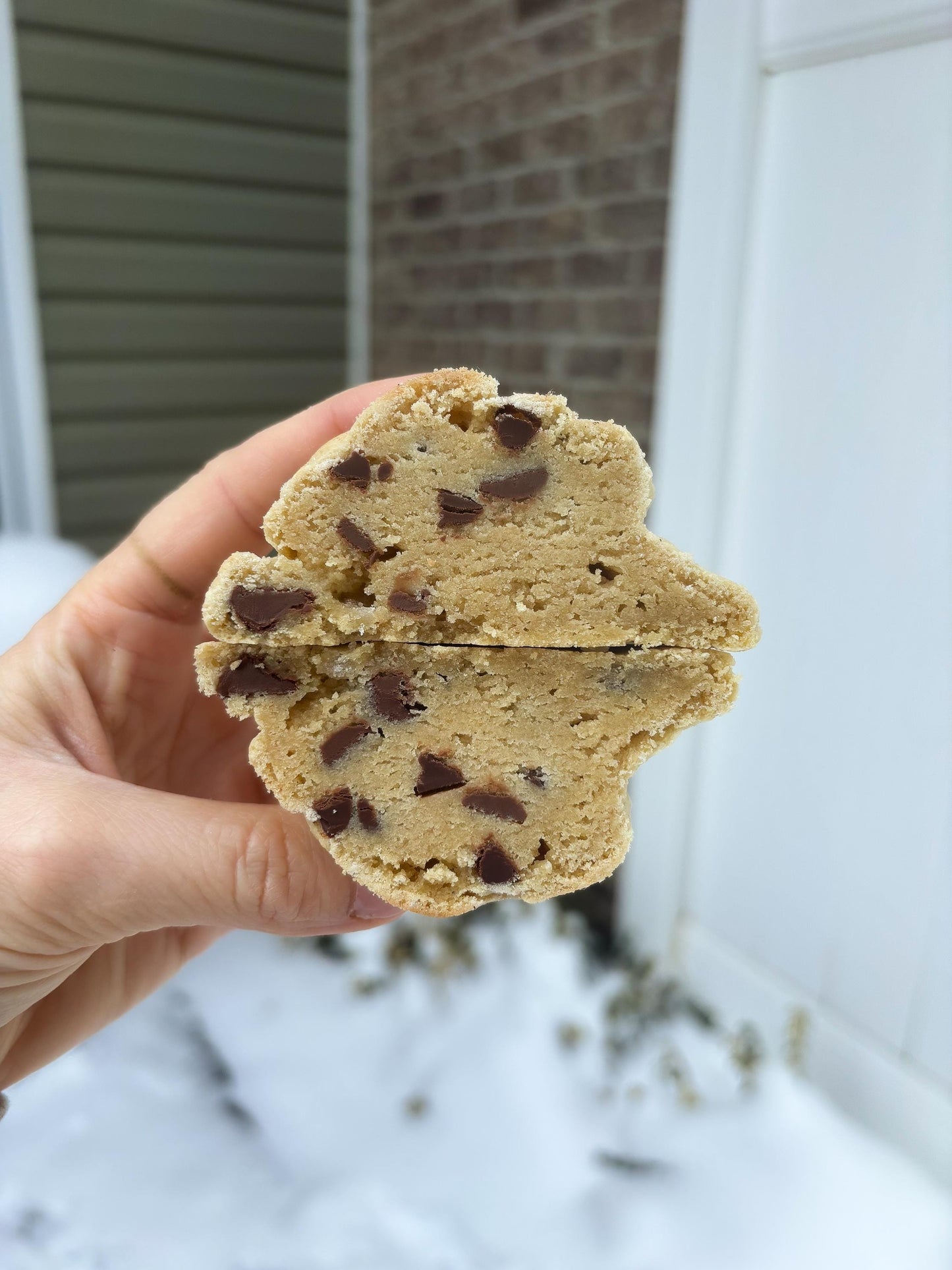 GLUTEN FREE Chocolate Chip Cookie RECIPE: Gourmet New York Style (Digital Download)