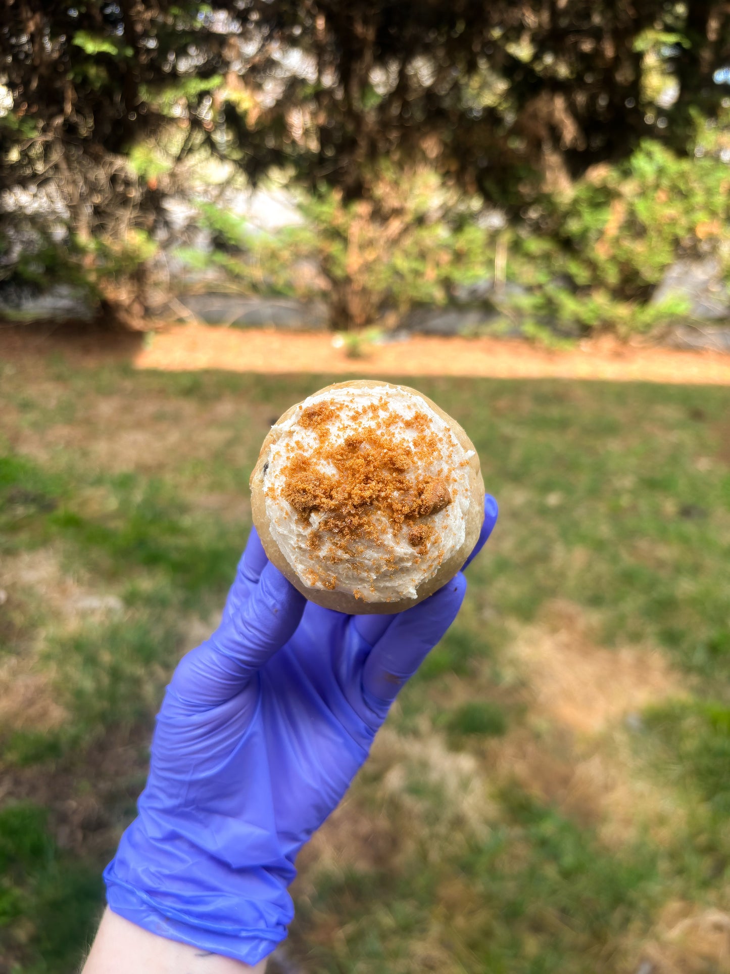 Banana Pudding Cookie Butter Recipe
