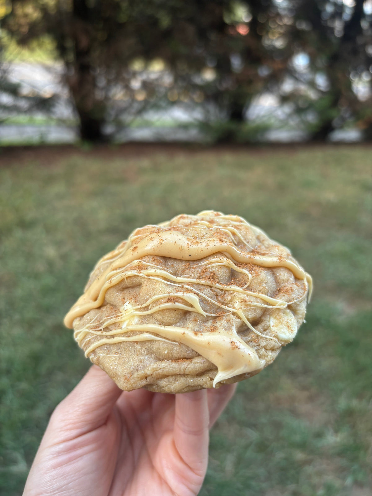 Caramel Apple Cheesecake Cookie Recipe