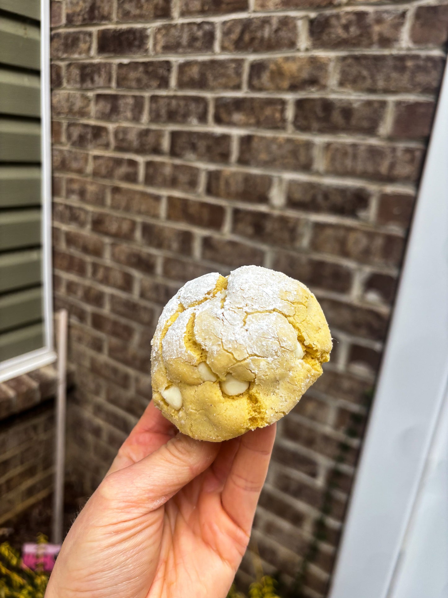 Lemon Crinkle Cookie Recipe