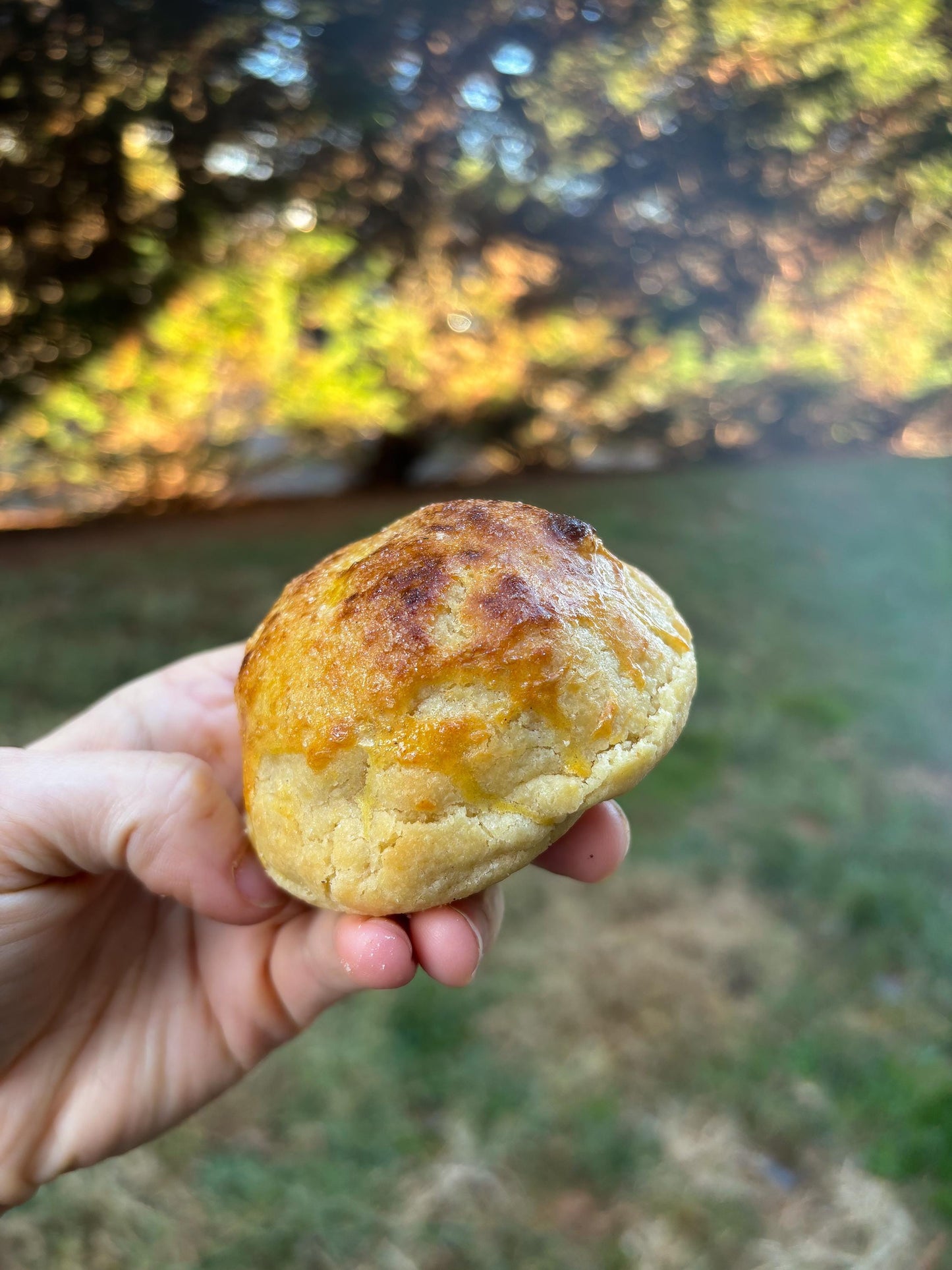 Crème Brûlée Stuffed Cookie RECIPE: Gourmet New York Style (Digital Download)