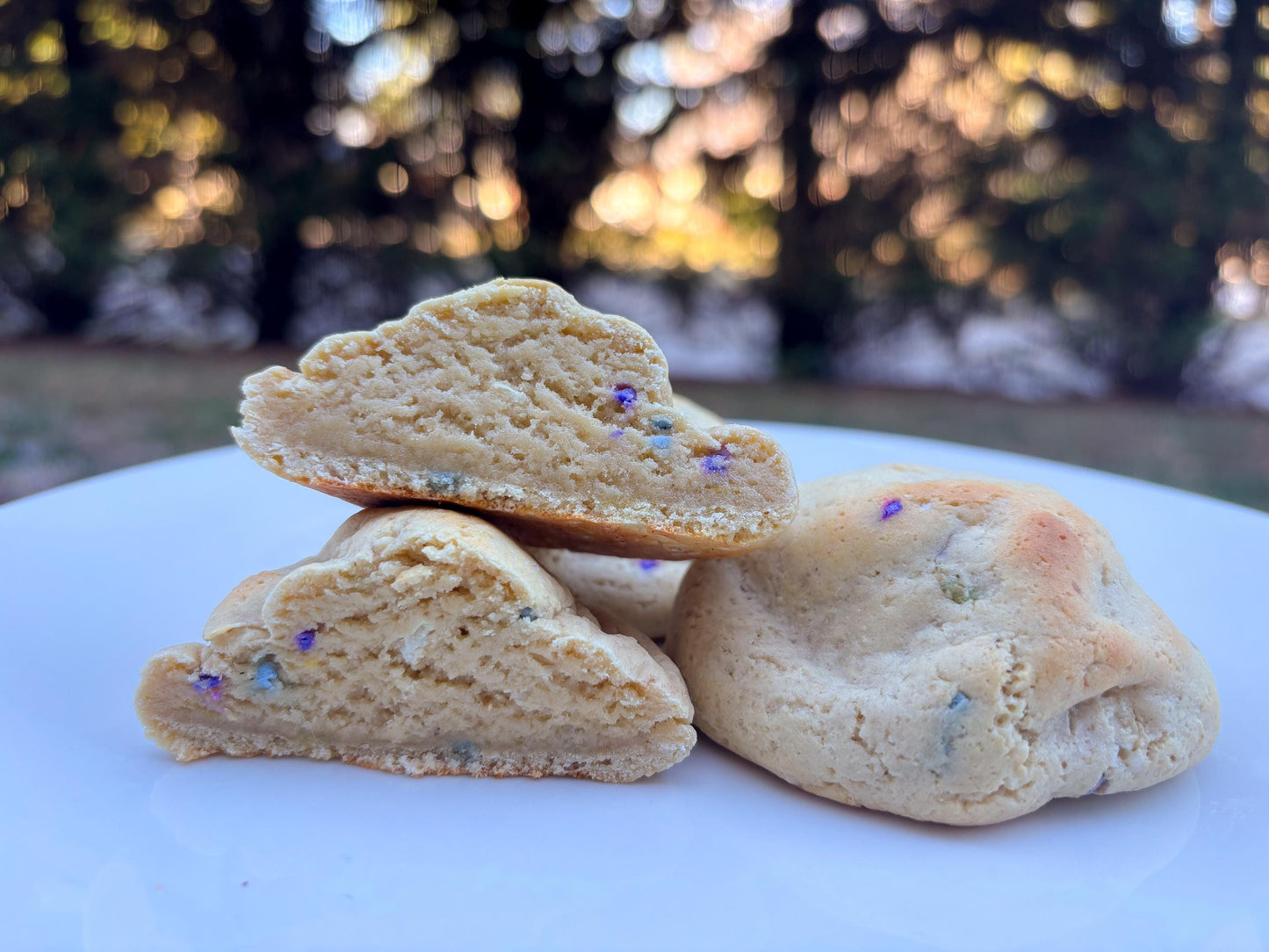 Gourmet Birthday Cake Protein Cookie Recipe (Digital Download)