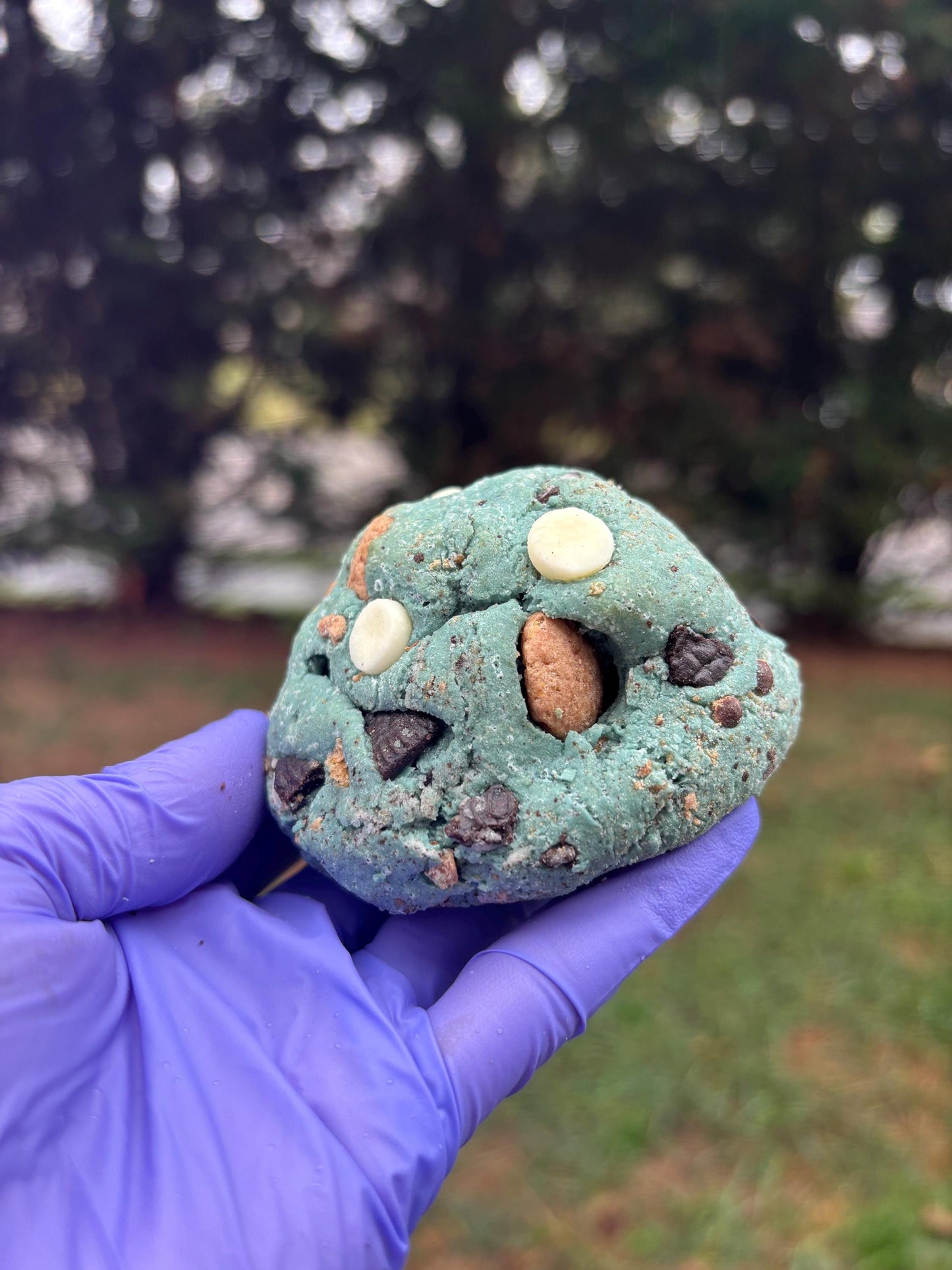 Cookie Monster Protein Cookie Recipe: Gourmet New York Style (Digital Download)