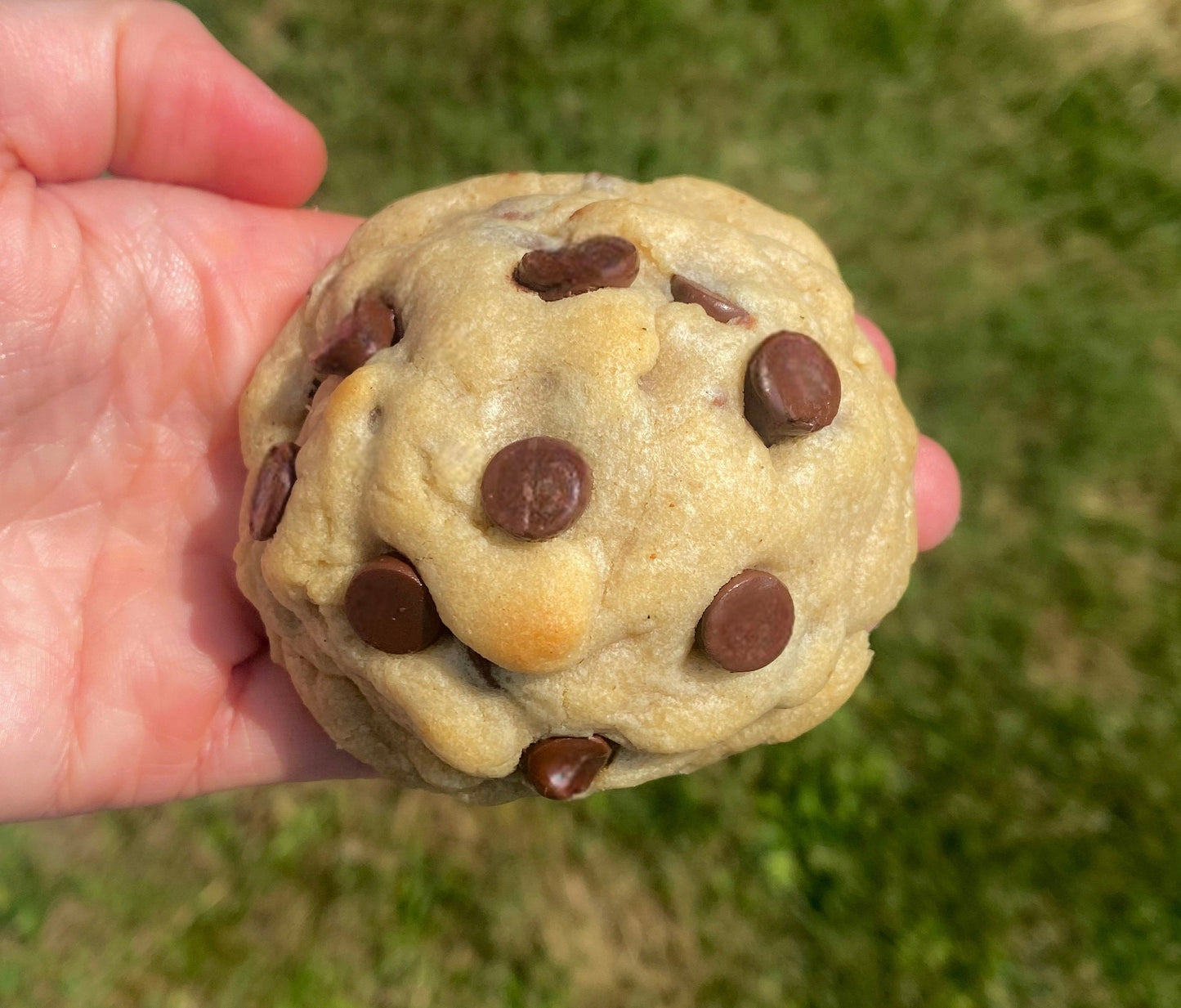 Thick Chocolate Chip Cookie Recipe: New York Style (Digital Download)