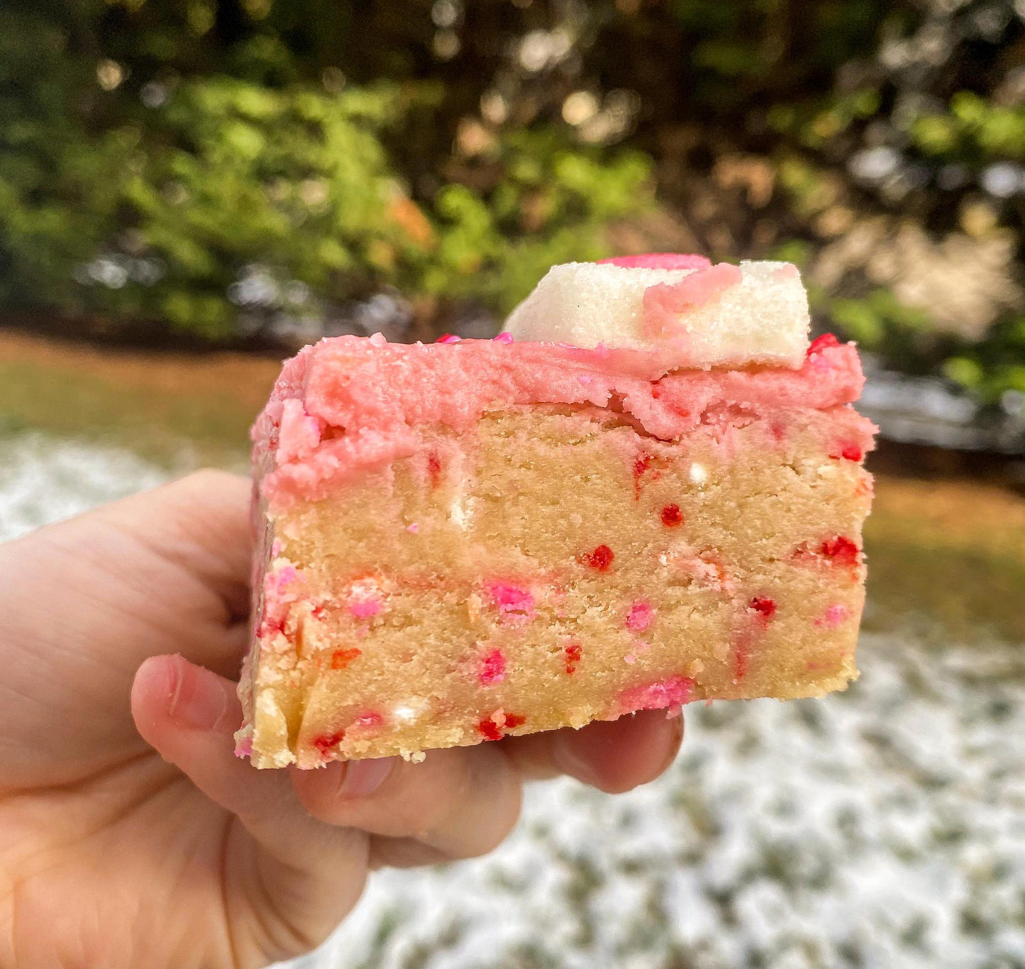 Thick Sugar Cookie Bar Recipe – Vanilla Buttercream (Digital Recipe)