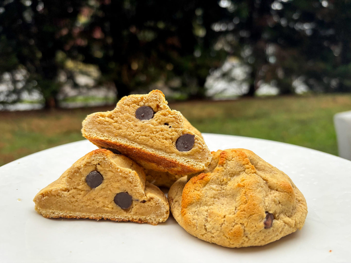 PROTEIN Chocolate Chip Protein Cookie Recipe: Gourmet New York Style (Digital Download)