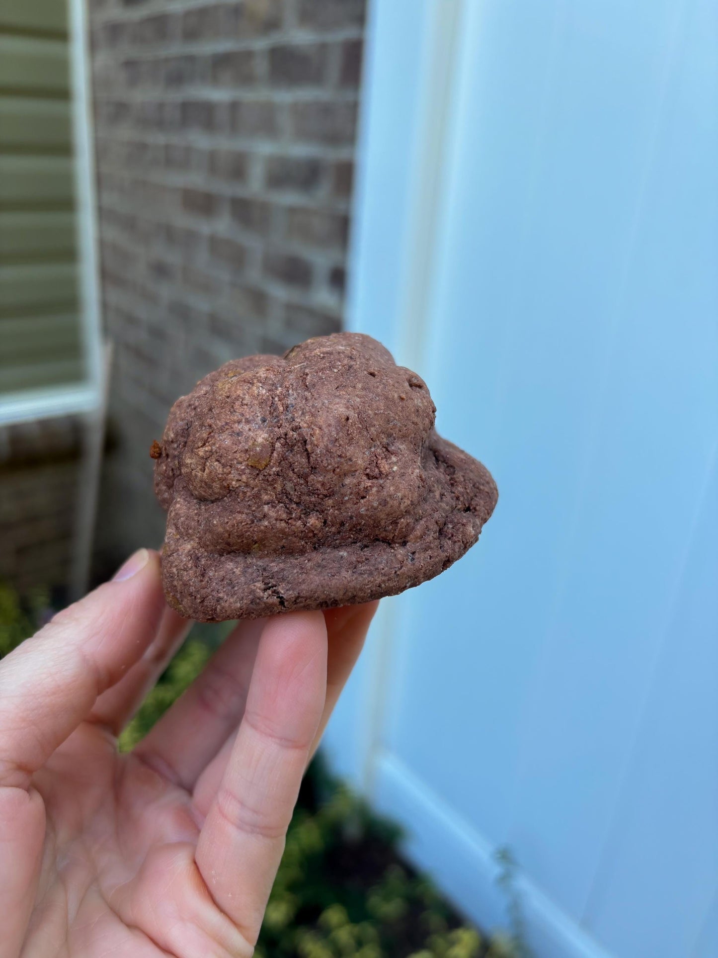 Double Chocolate Protein Cookie Recipe: Gourmet New York Style (Digital Download)