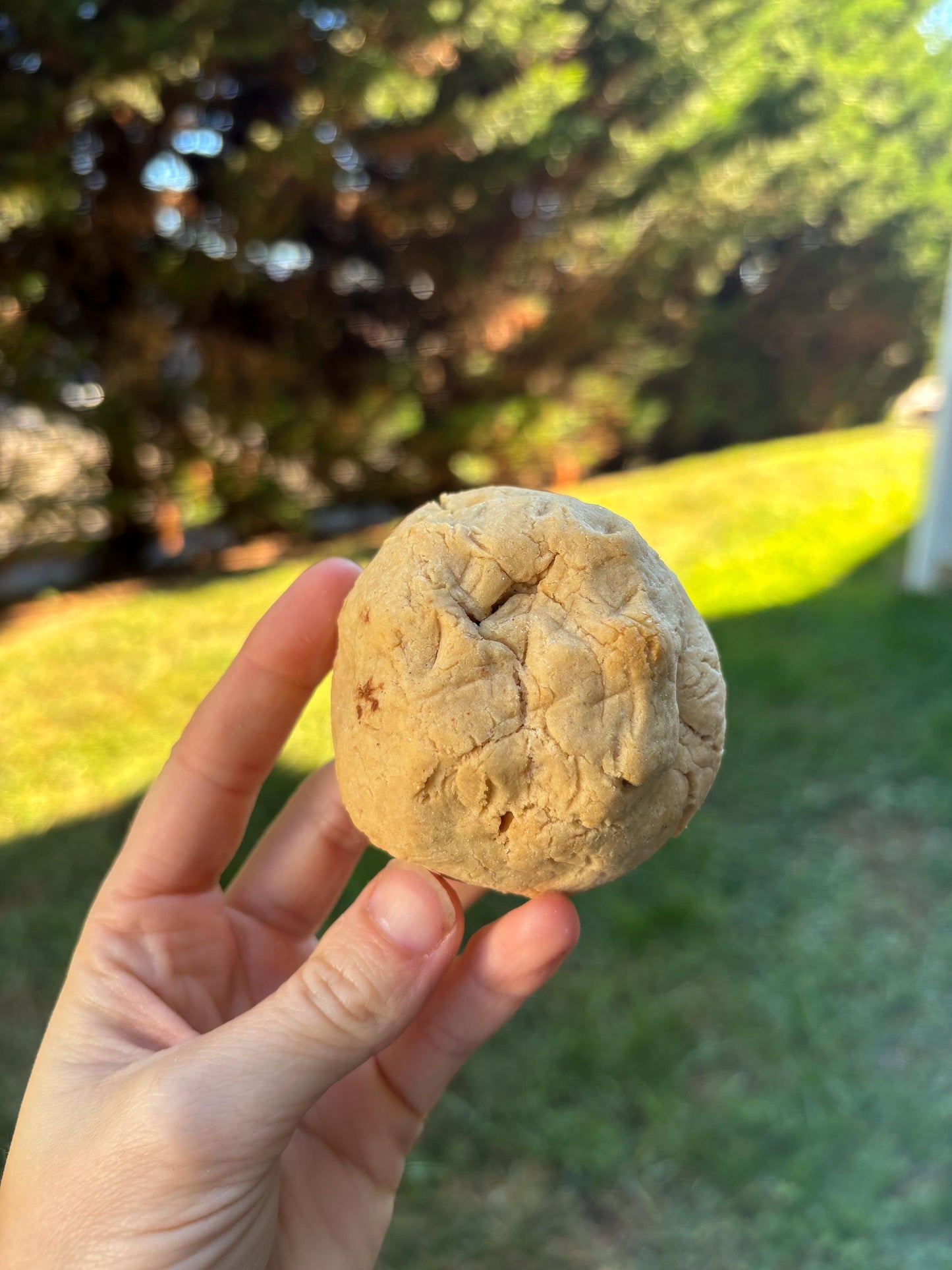 Gluten-Free Peanut Butter Protein Cookie Recipe: New York Style (Digital Download)