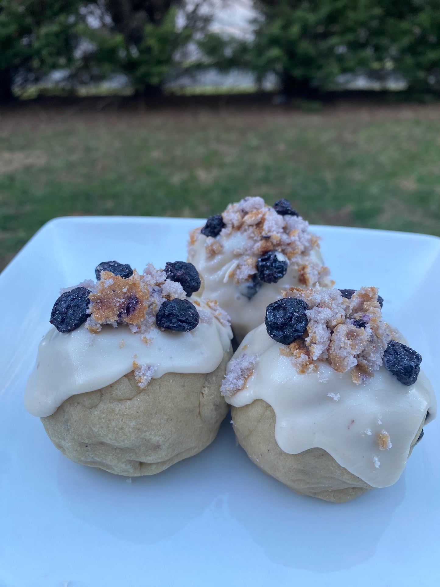 Gourmet Blueberry Muffin Stuffed Cookie Recipe (Digital)