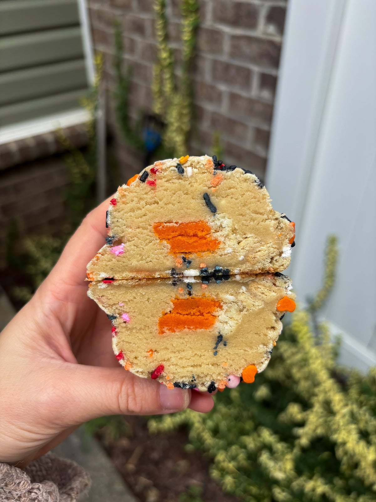 Halloween Sprinkle Sugar Cookie Recipe