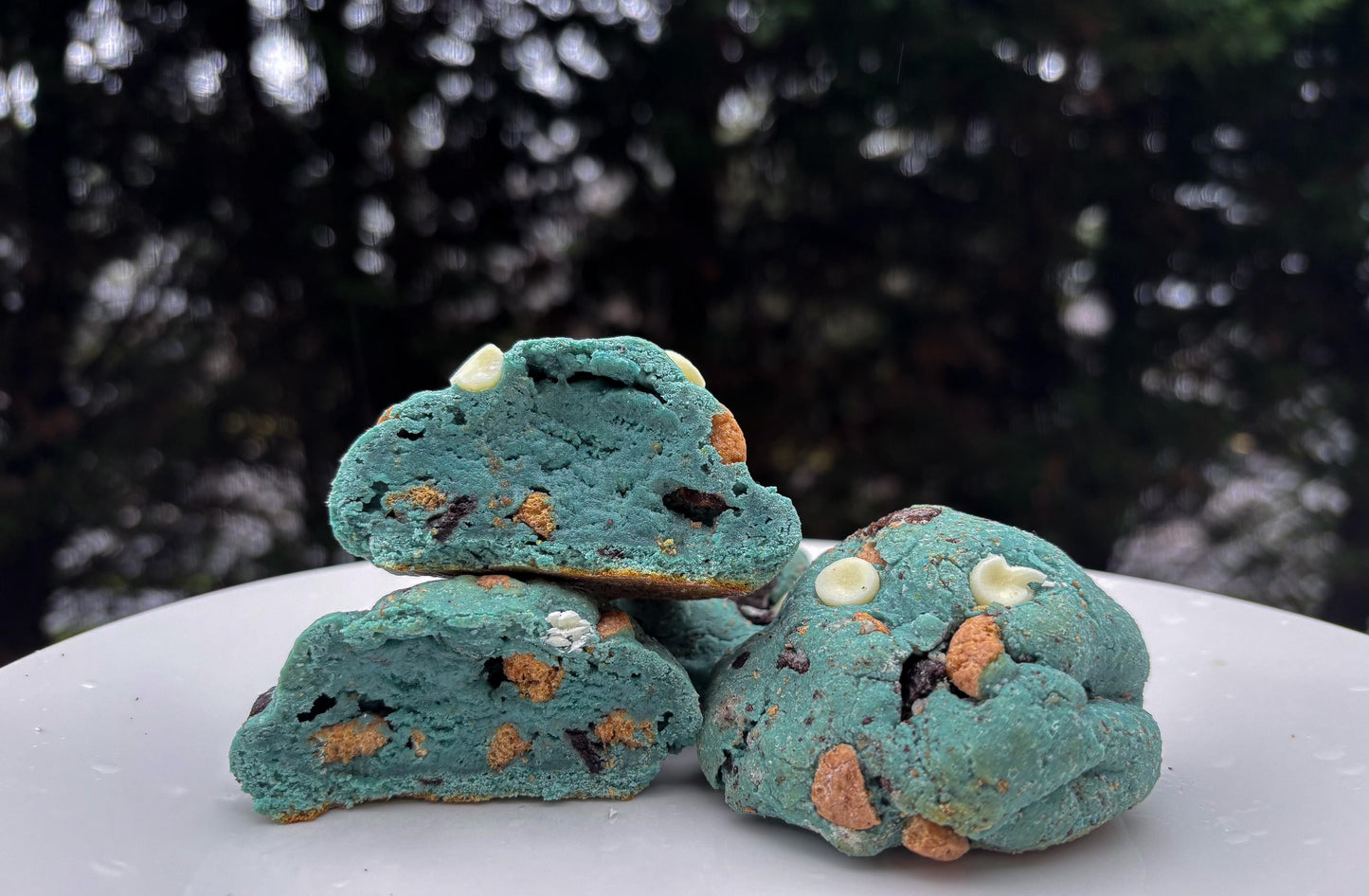 Cookie Monster Protein Cookie Recipe: Gourmet New York Style (Digital Download)