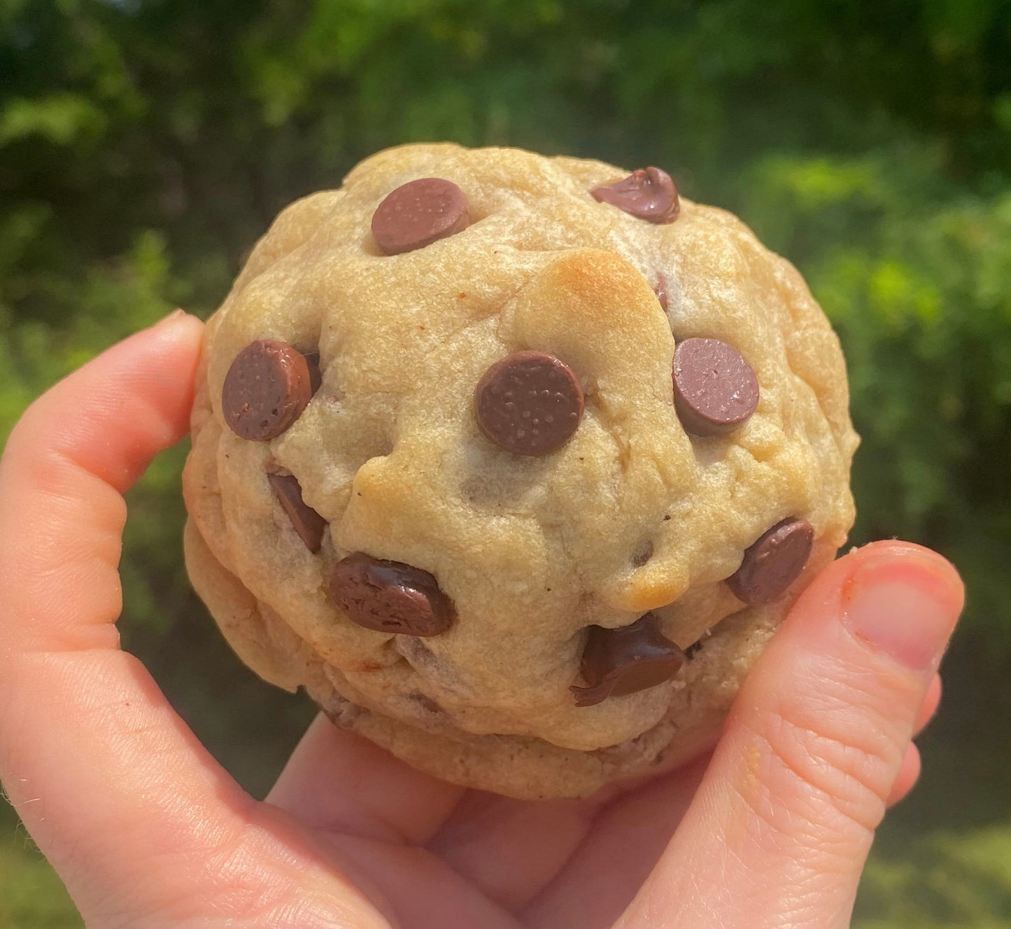 Thick Chocolate Chip Cookie Recipe: New York Style (Digital Download)