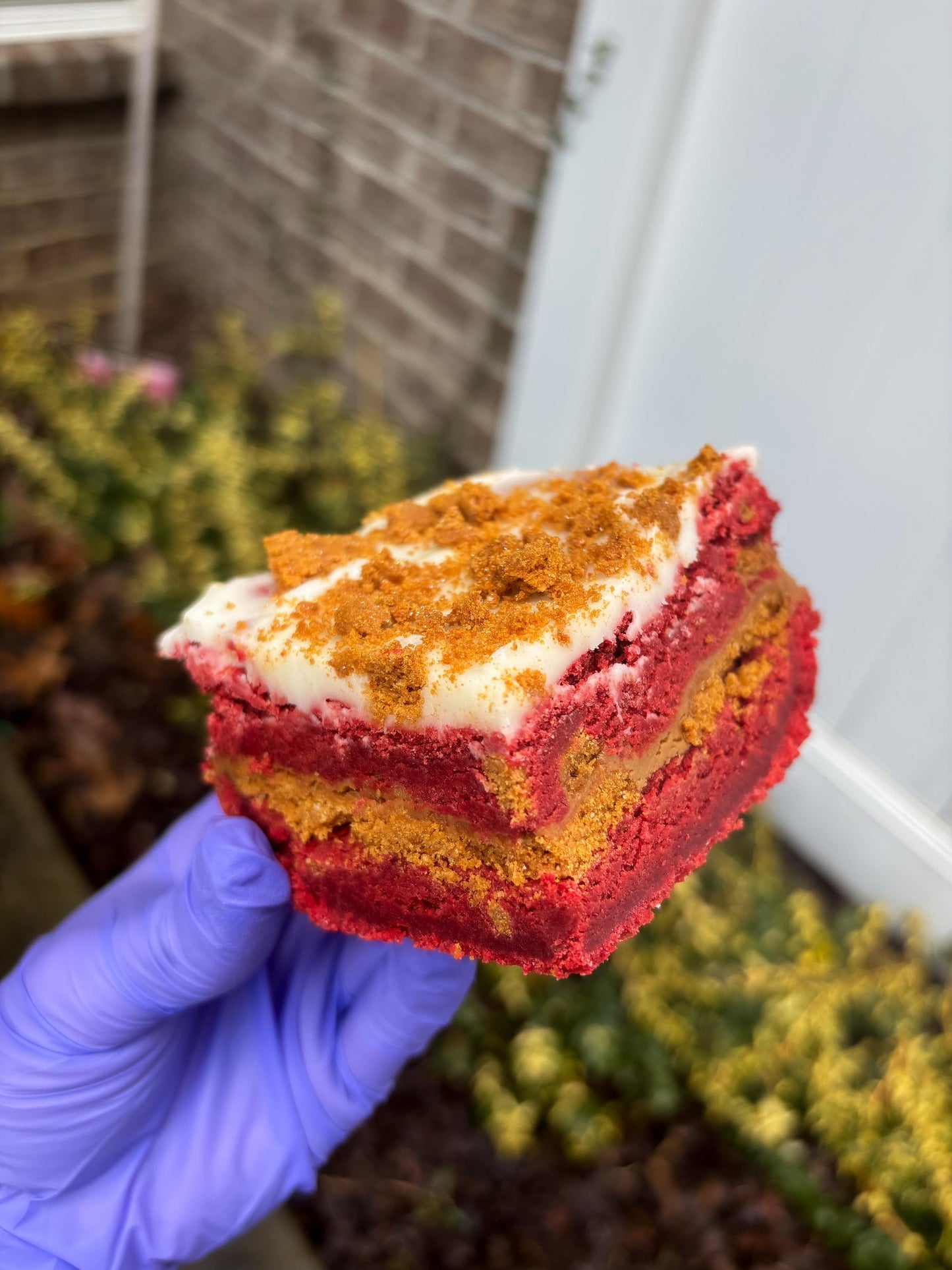Red Velvet Cookie Butter Cookie Bars RECIPE: Gourmet New York Style (Digital Download)