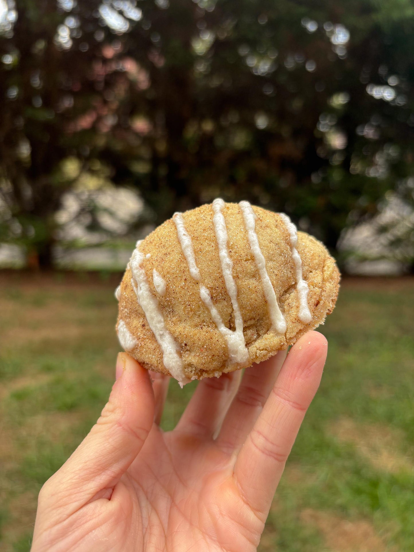 Snickerdoodle Stuffed Cookie RECIPE: Gourmet New York Style (Digital Download)