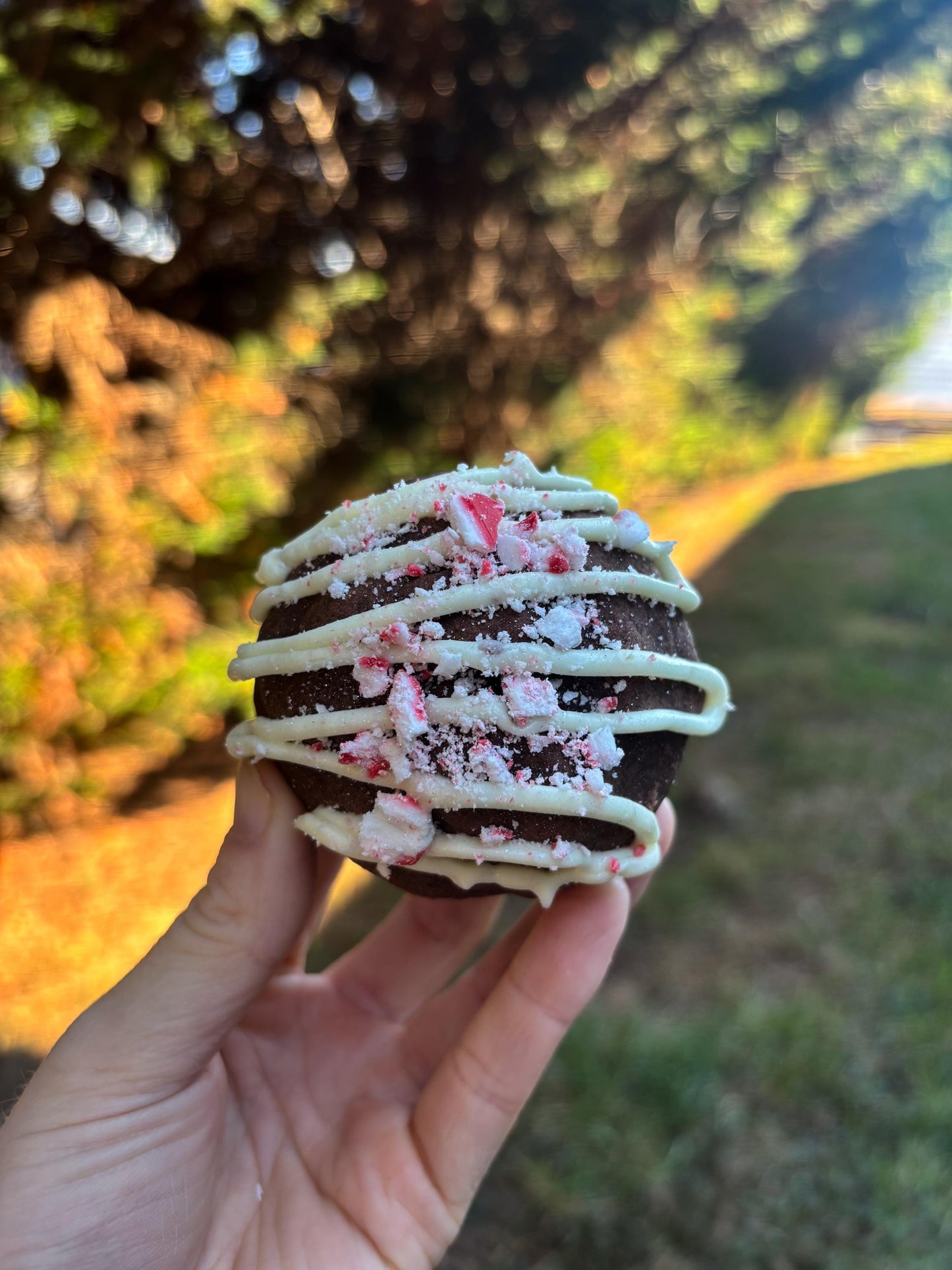 Winter Peppermint Mocha Stuffed Cookie RECIPE: Gourmet New York Style (Digital Download)
