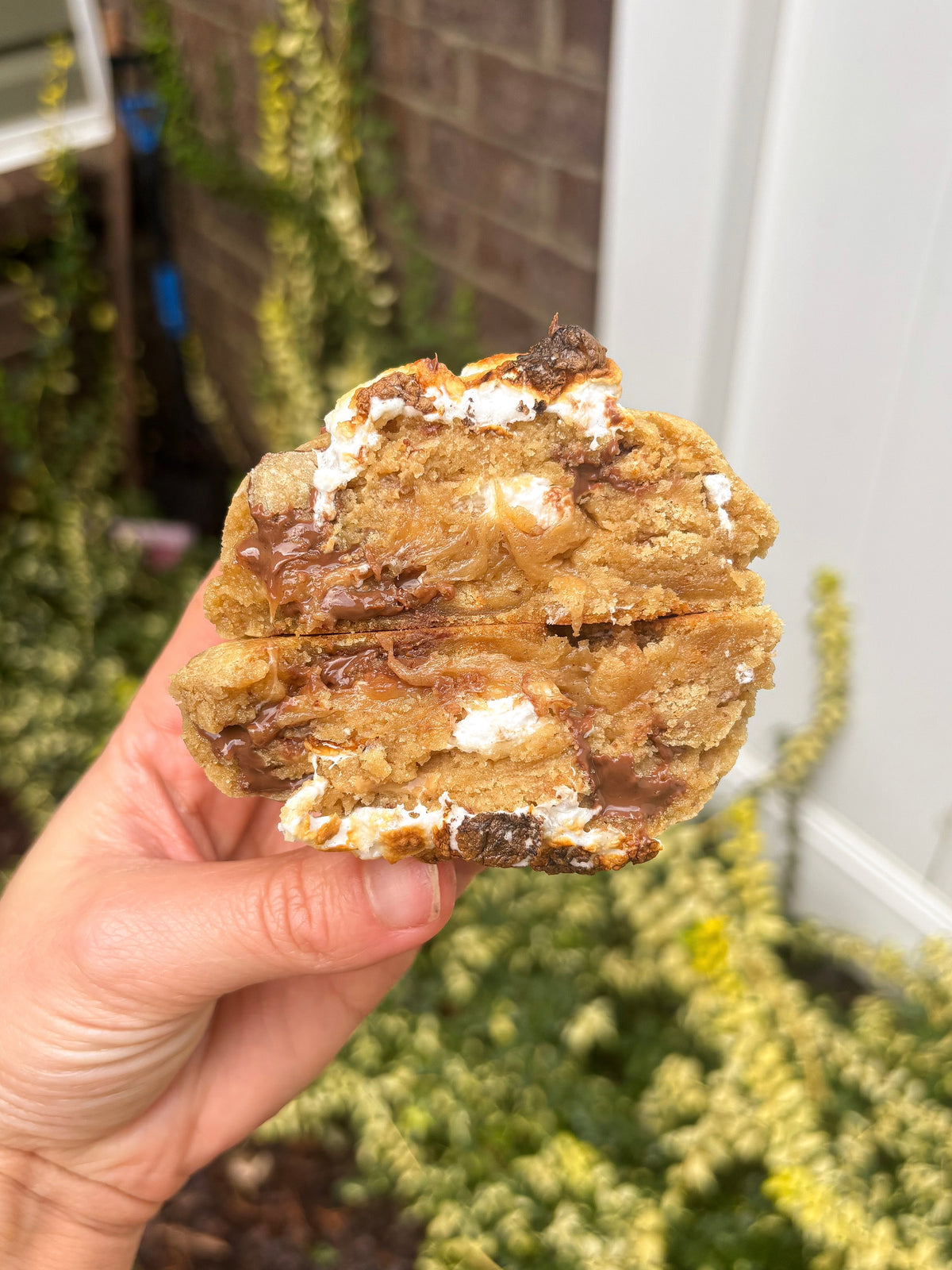 Fall Stuffed Cookie Bundle 2026