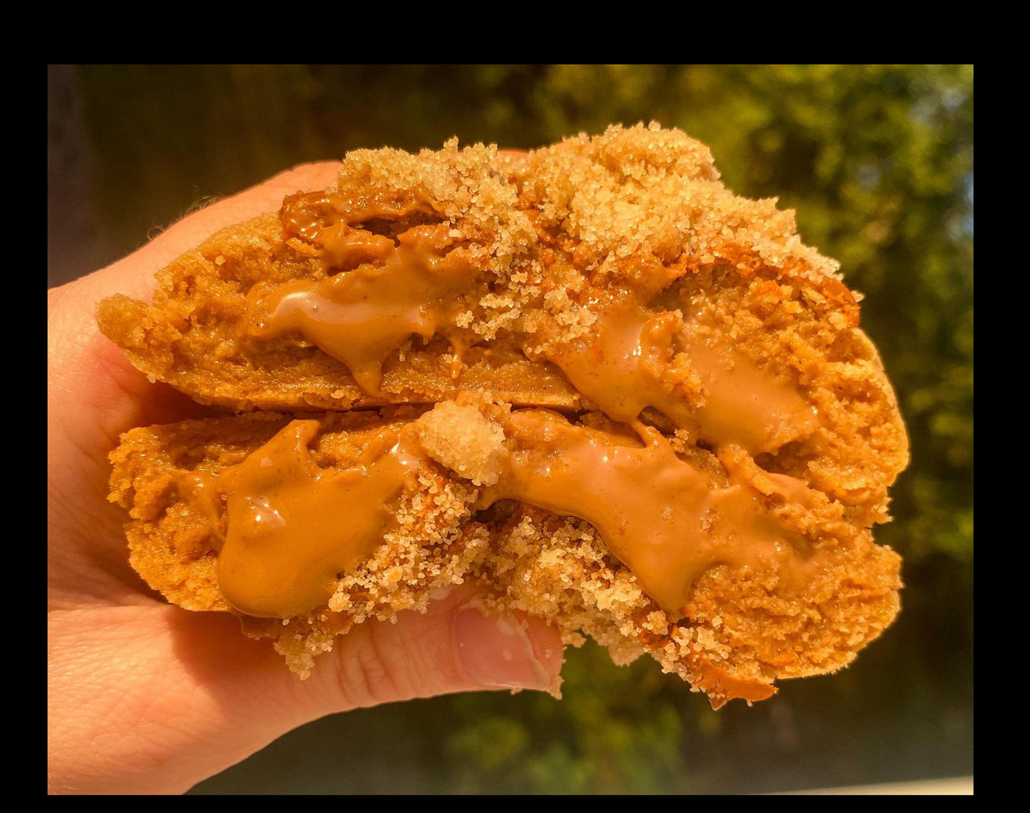 Stuffed Pumpkin Cookie Butter Recipe: Gourmet New York Style (Digital Download)