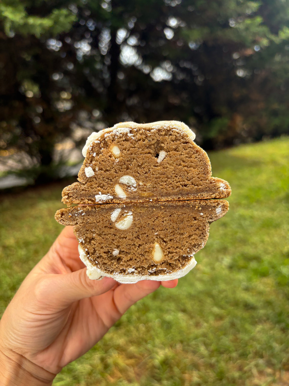 Fall Bakery Style Cookie Recipes 2026