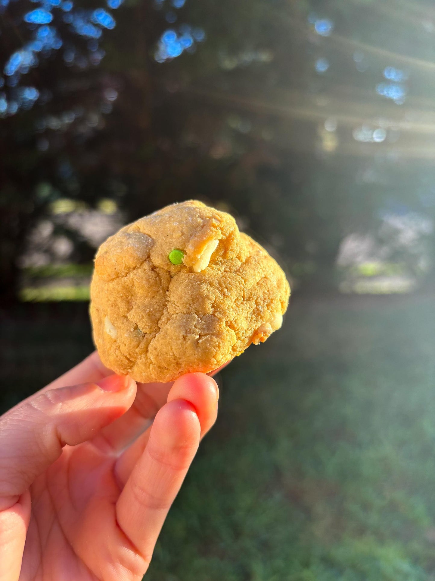 Protein Cookie Recipe Bundle: Gourmet Flavors (Digital Download)