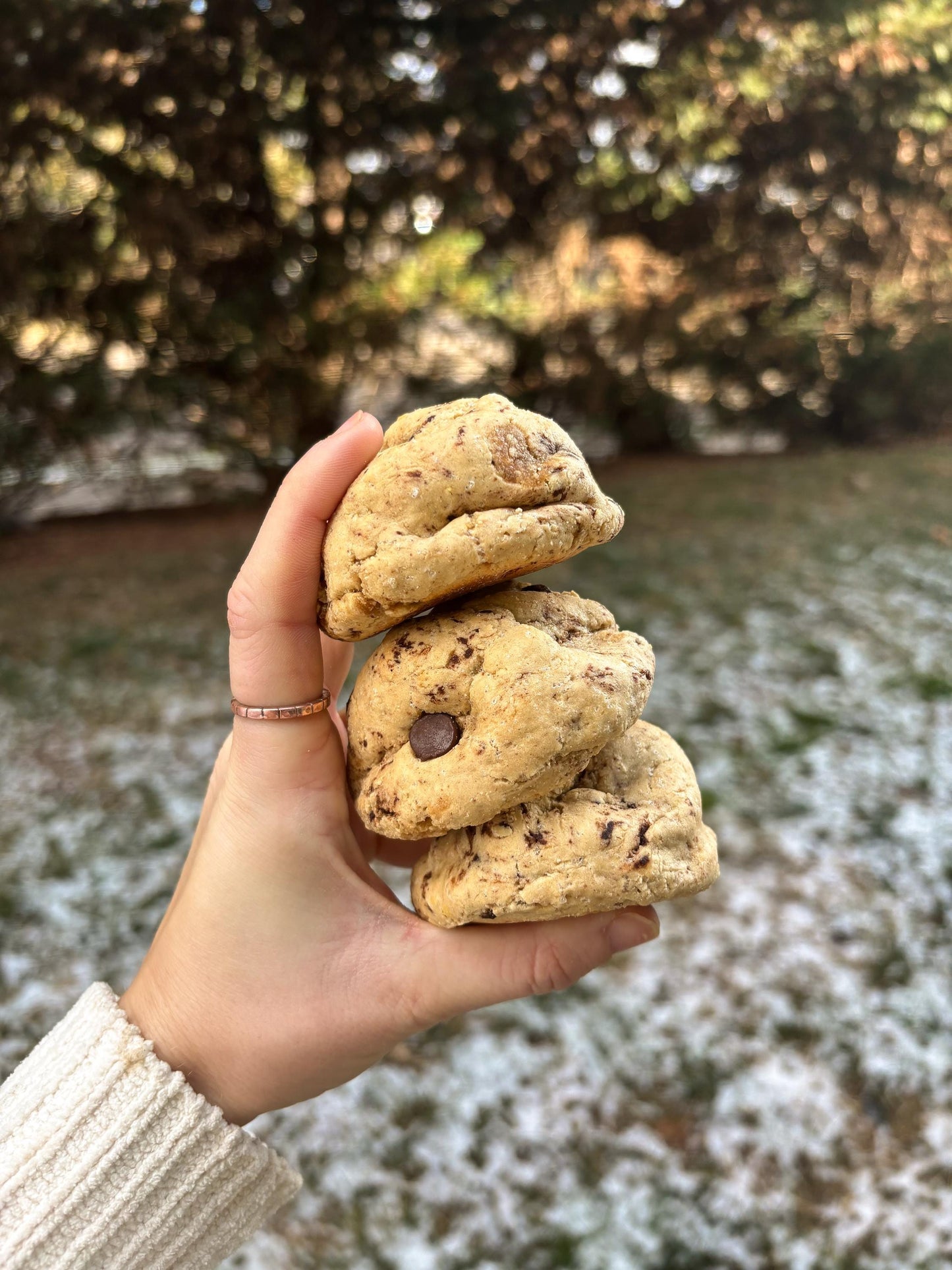 Goals & Gains Protein Cookie Bundle