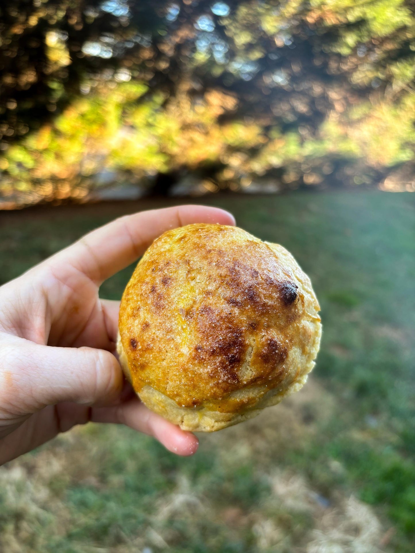 Crème Brûlée Stuffed Cookie RECIPE: Gourmet New York Style (Digital Download)