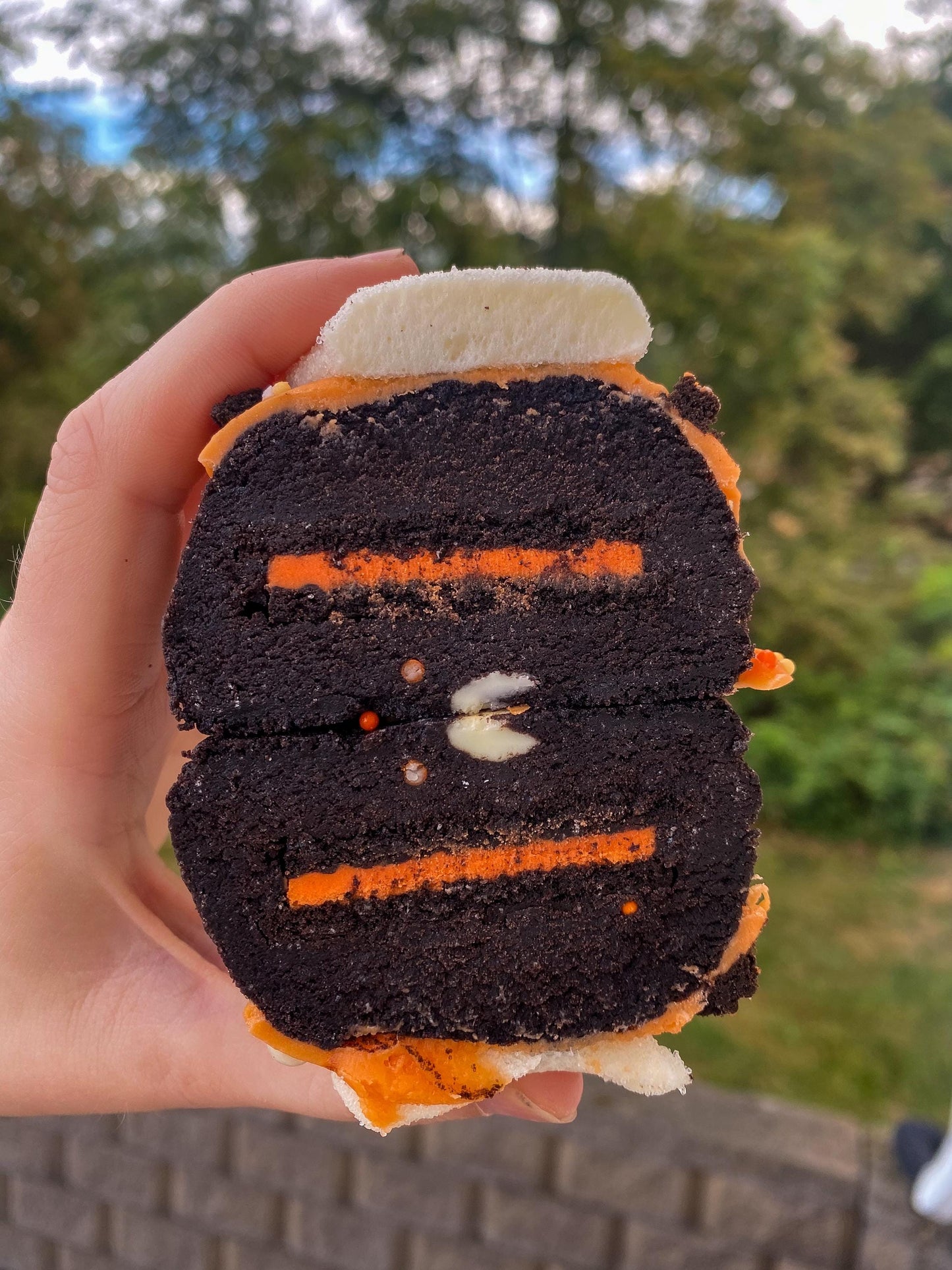 Halloween Stuffed Gourmet Cookies Recipe Bundle (Digital Download)