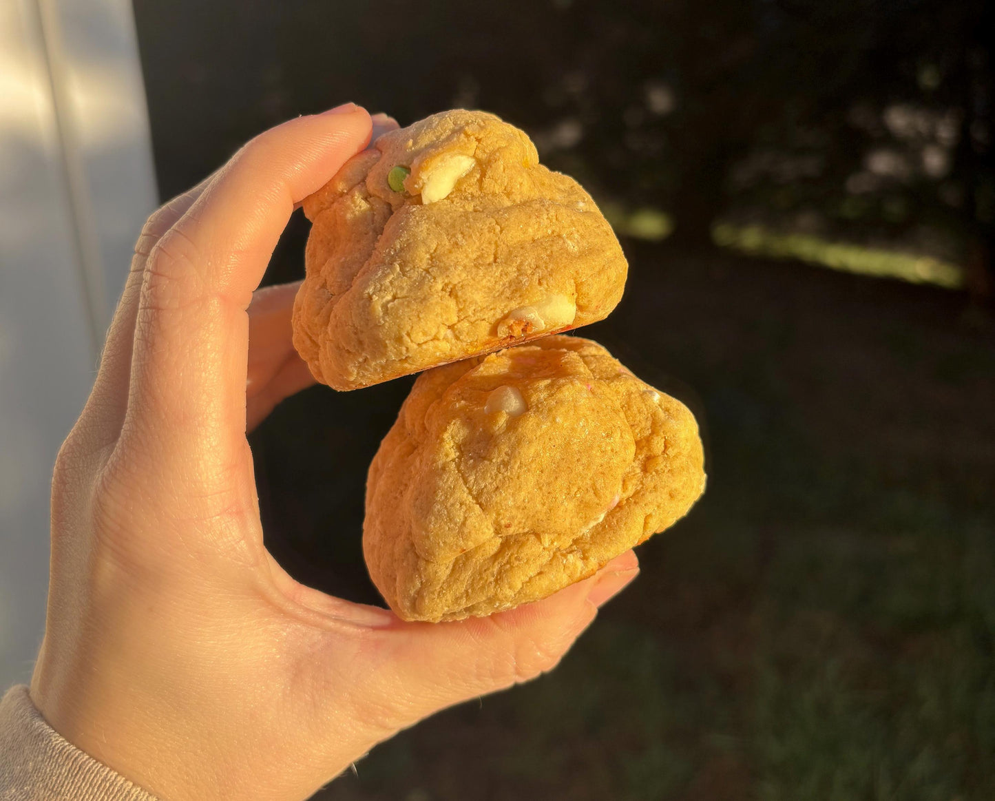 Gourmet Protein Sugar Cookie Recipe: New York Style (Digital Download)