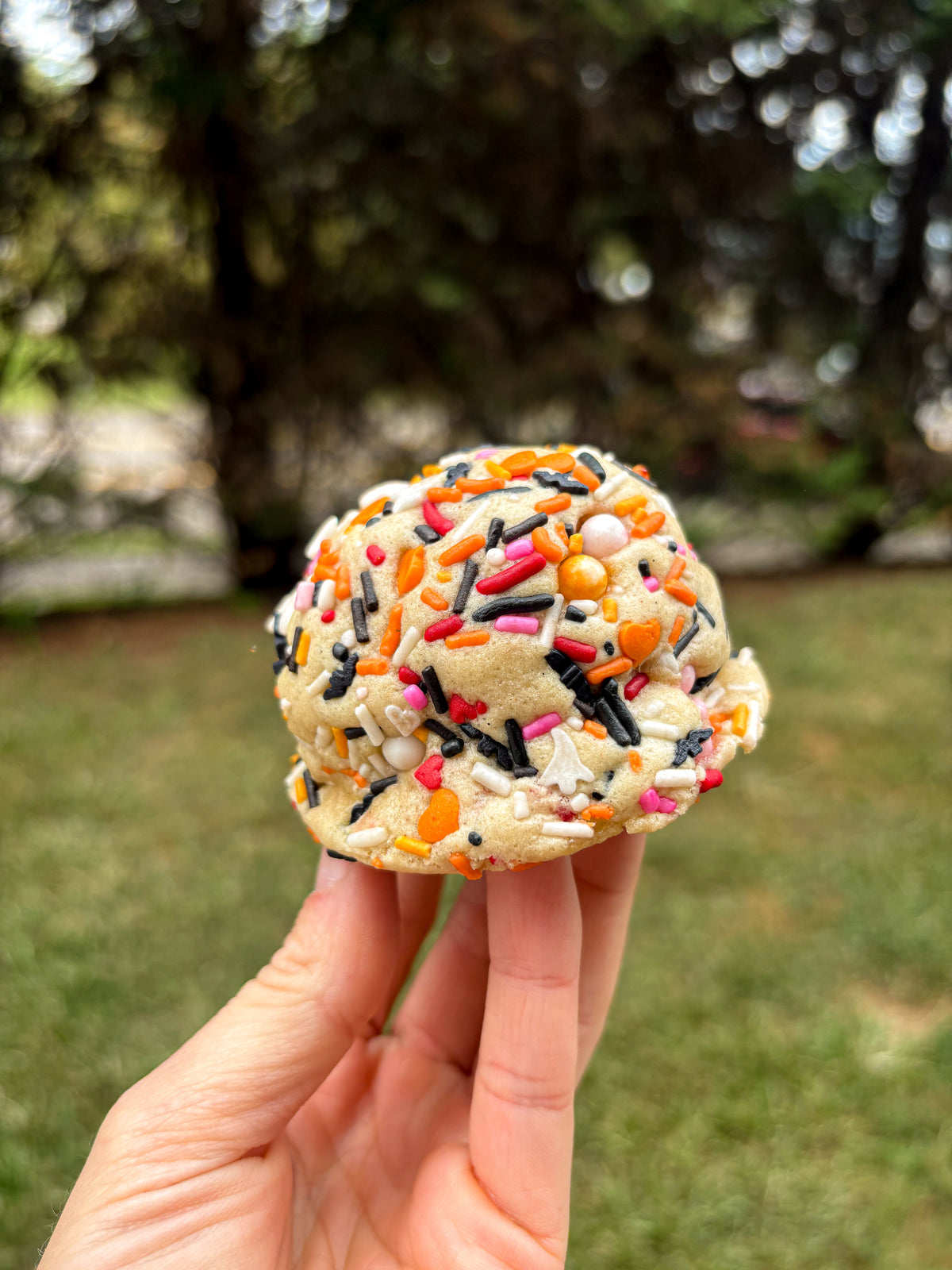 Halloween Sprinkle Sugar Cookie Recipe