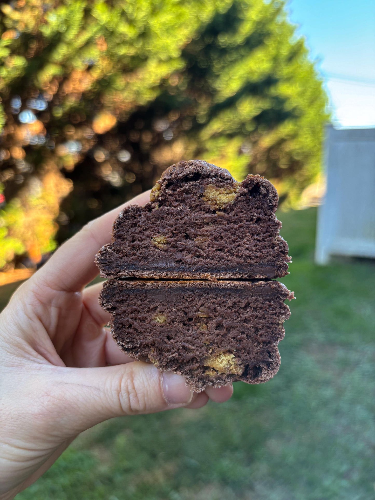 Protein Cookie Recipe Bundle: Gourmet Flavors (Digital Download)