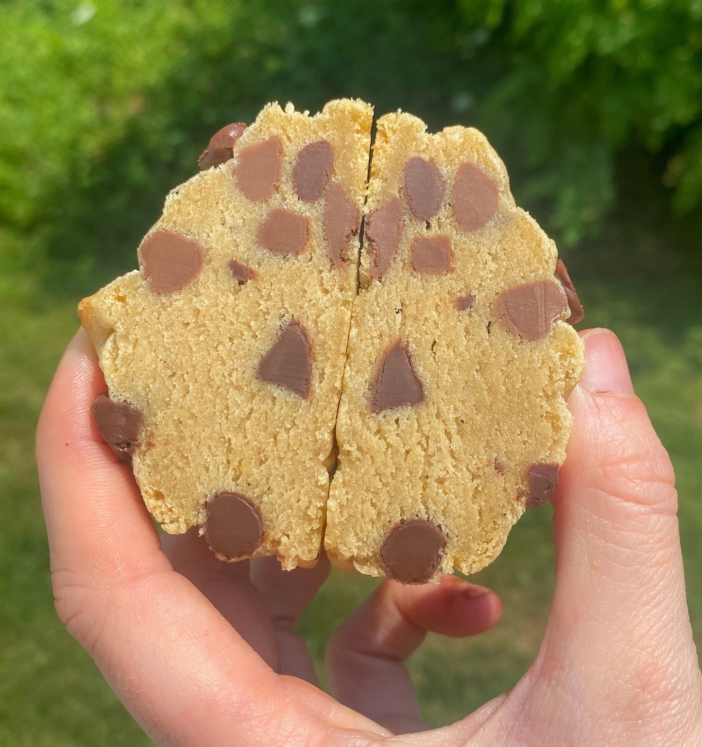 Thick Chocolate Chip Cookie Recipe: New York Style (Digital Download)