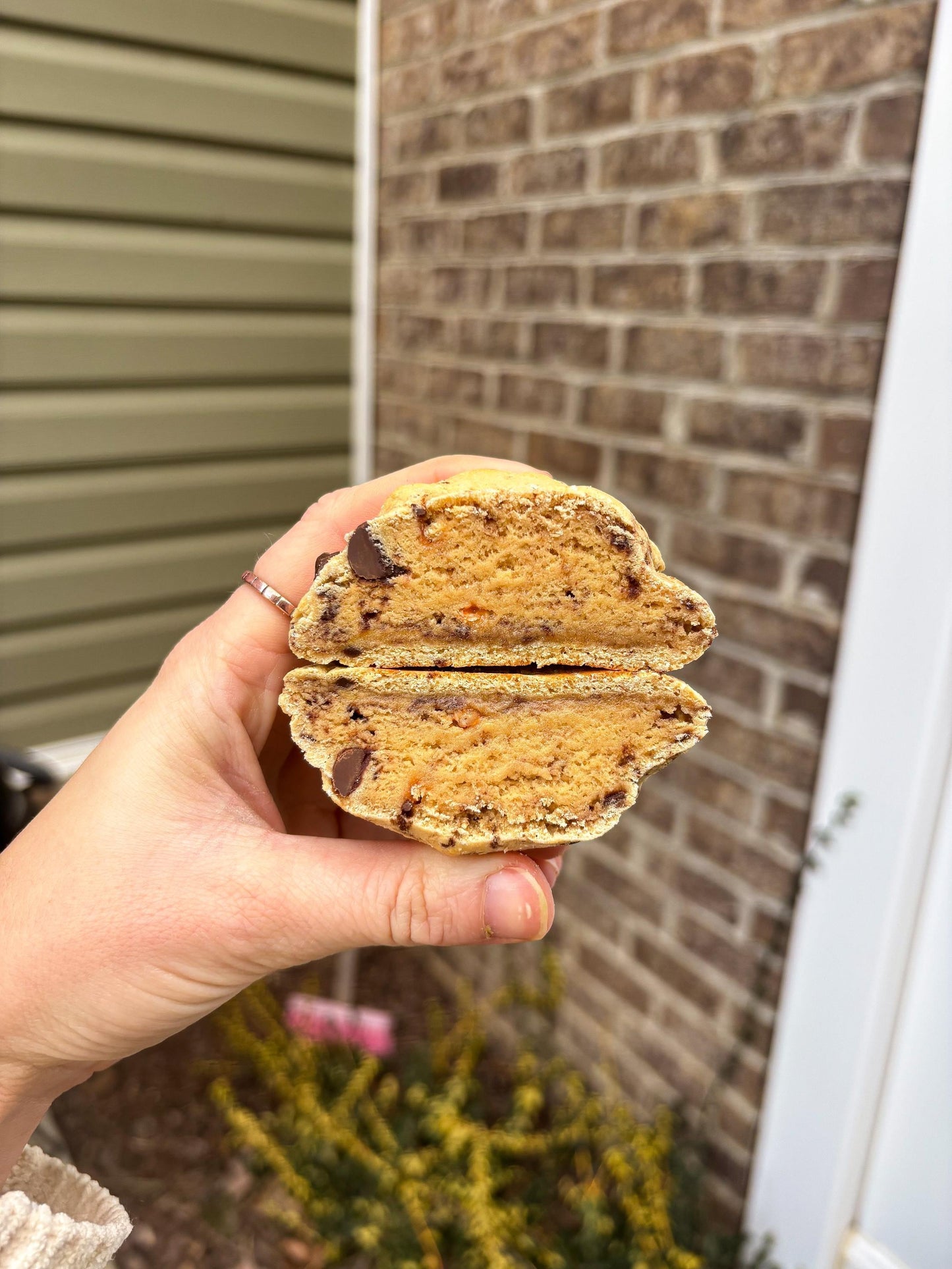 Gourmet Peanut Butter Chocolate Protein Cookie Recipe (Digital Download)