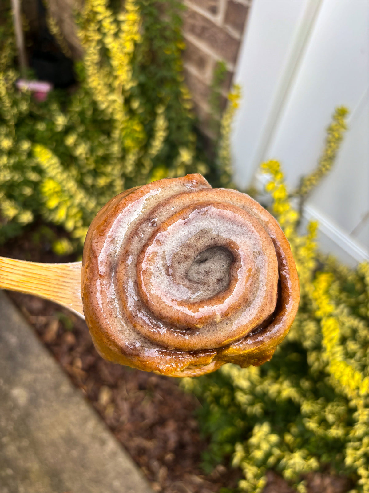 PUMPKIN SPICE ROLLS with a MAPLE GLAZE (Porch Pickup 8/16-8/17 near Johnson City Mall)