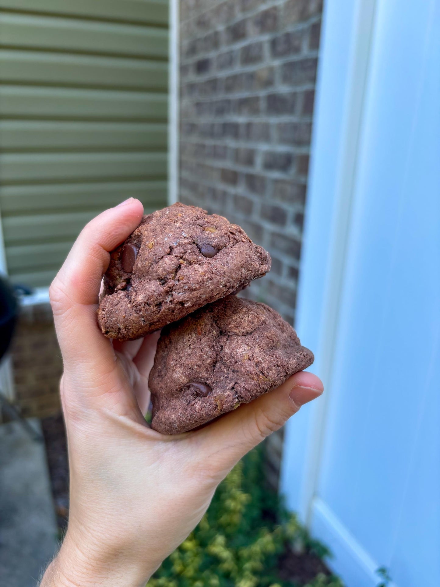 Double Chocolate Protein Cookie Recipe: Gourmet New York Style (Digital Download)