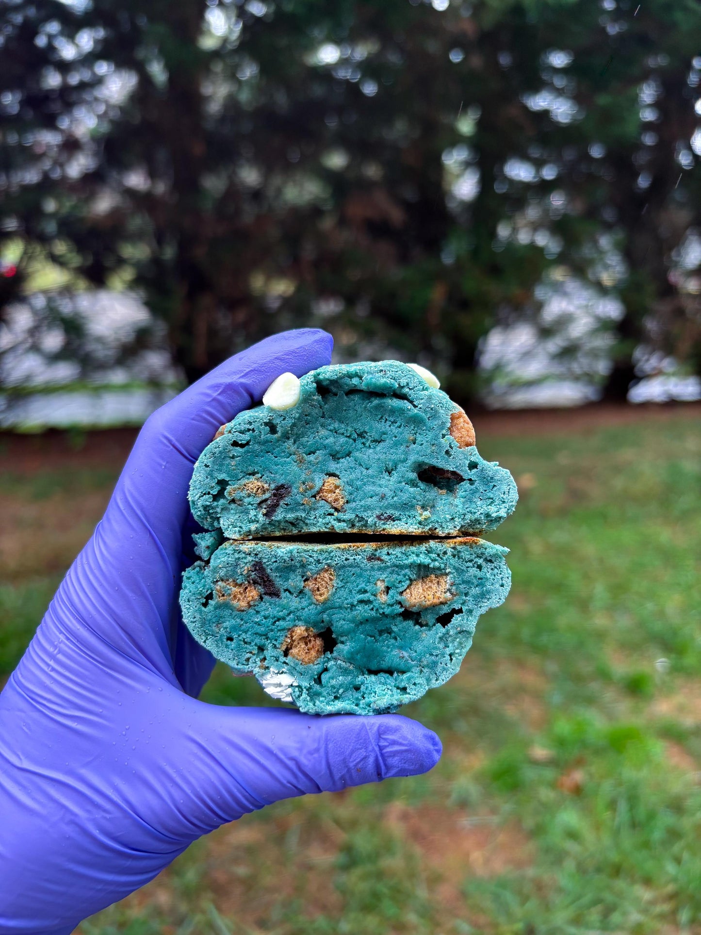 Goals & Gains Protein Cookie Bundle