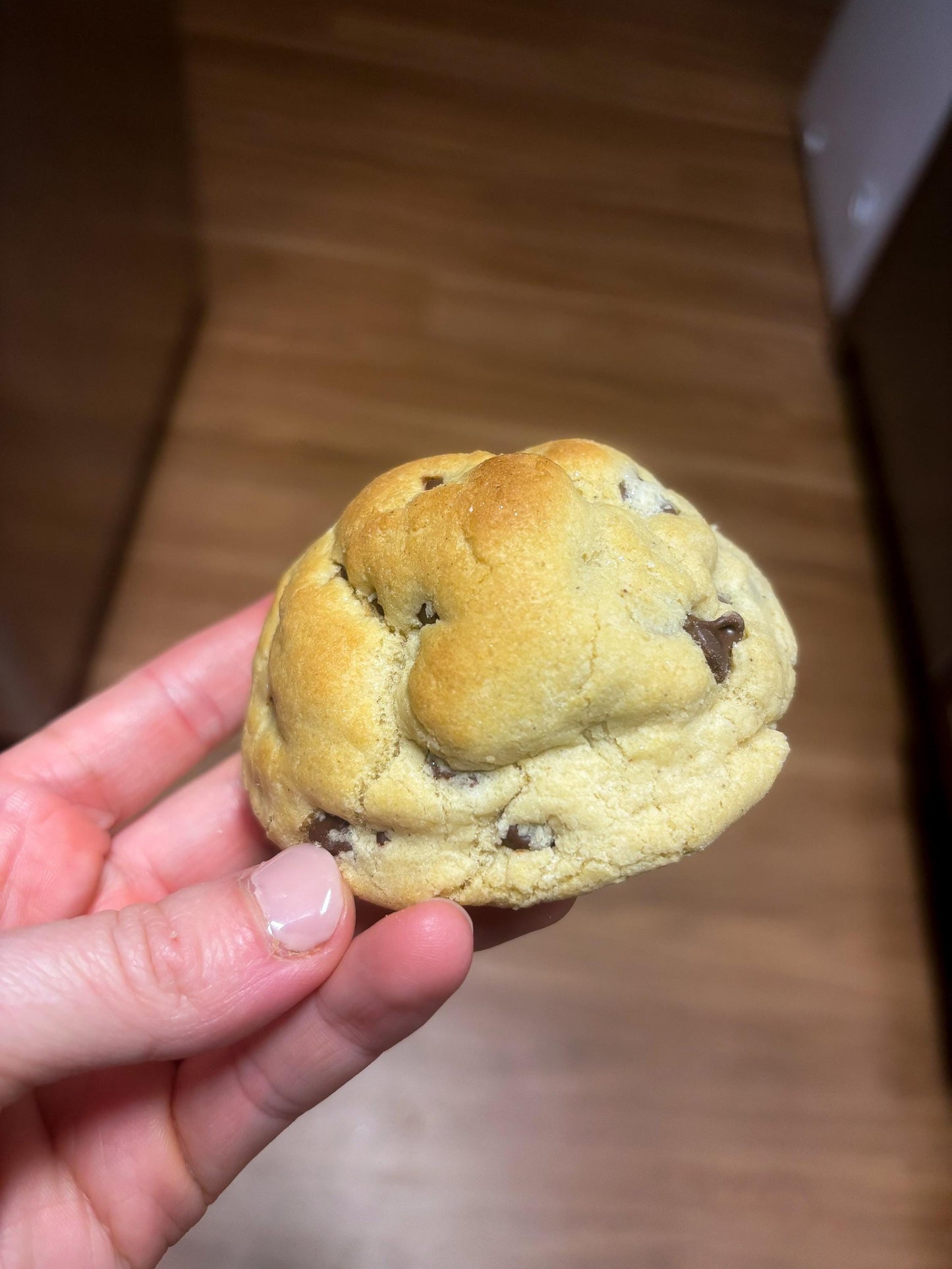 GLUTEN FREE Chocolate Chip Cookie RECIPE: Gourmet New York Style (Digital Download)