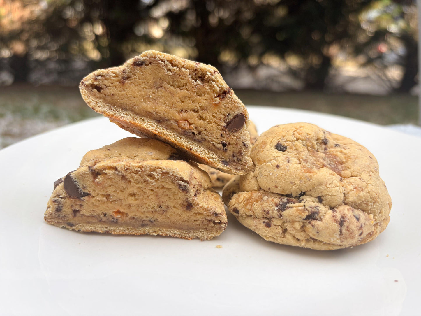 Gourmet Peanut Butter Chocolate Protein Cookie Recipe (Digital Download)