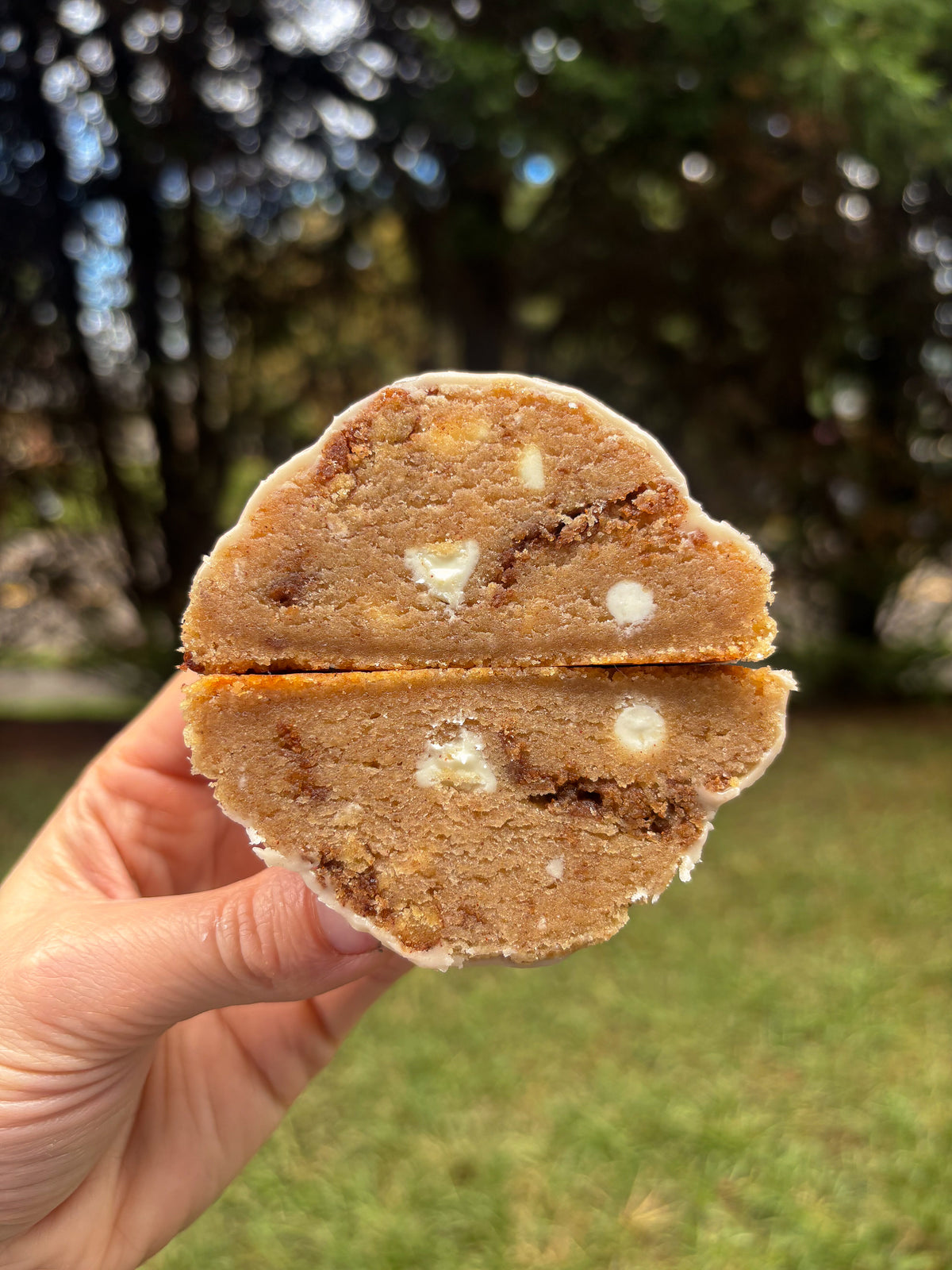 Fall Bakery Style Cookie Recipes 2026