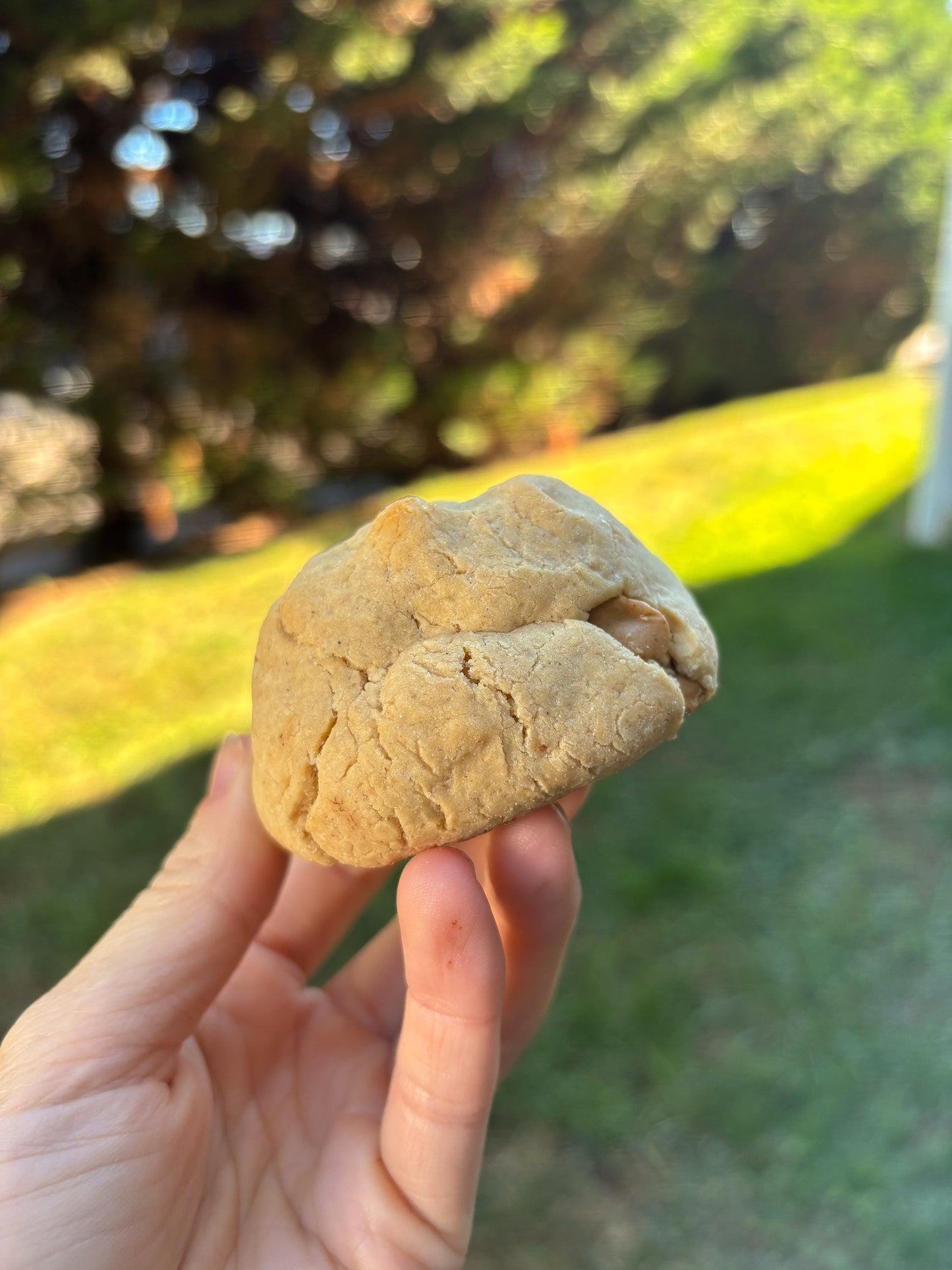 Gluten-Free Peanut Butter Protein Cookie Recipe: New York Style (Digital Download)