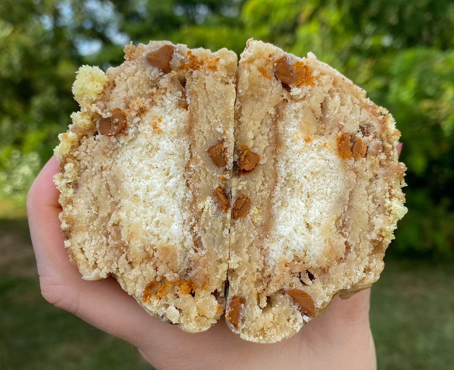 Gourmet Apple Cider Donut Stuffed Cookie Recipe (Digital Download)