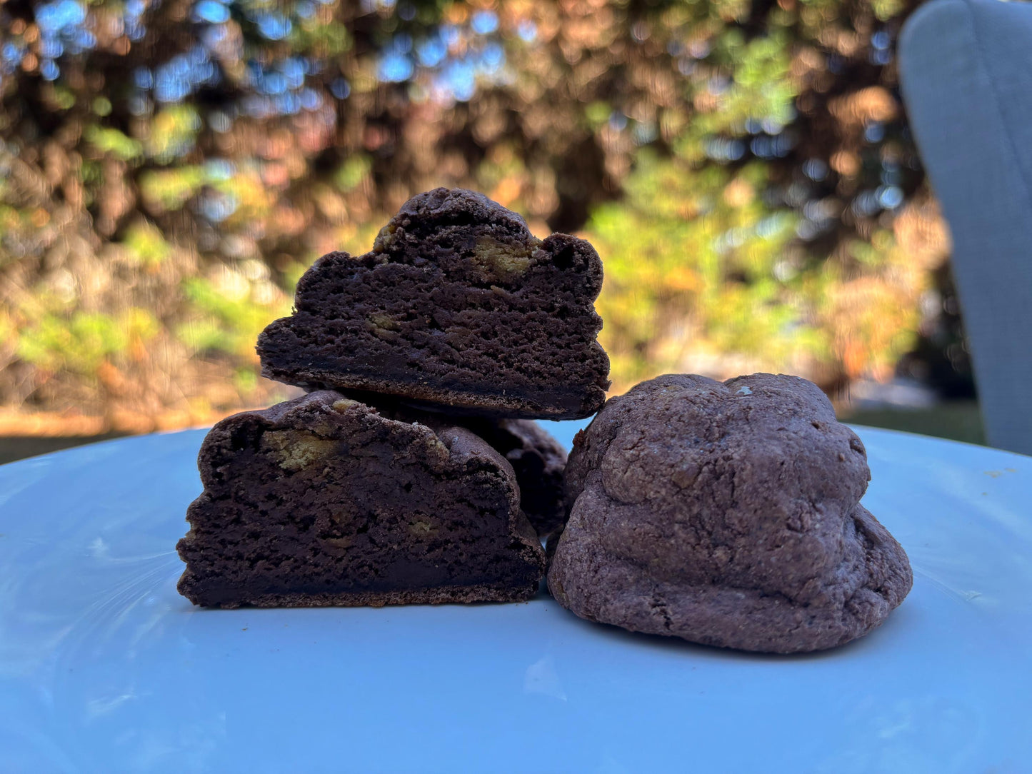Double Chocolate Protein Cookie Recipe: Gourmet New York Style (Digital Download)