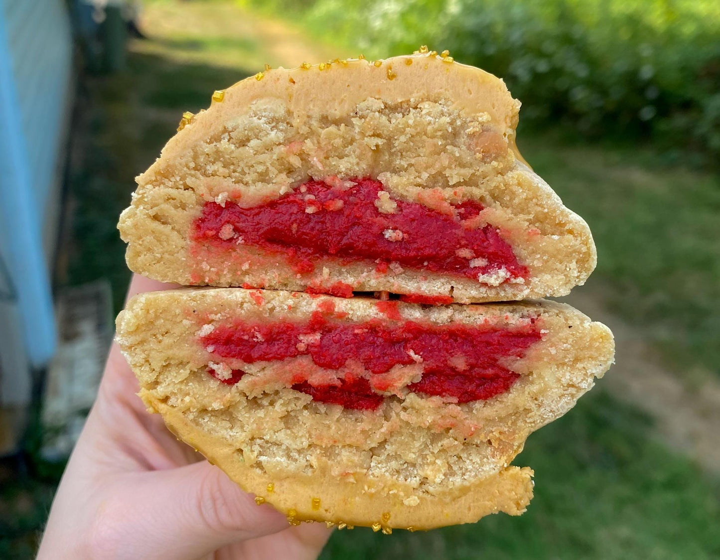 Stuffed Butterscotch Beer Cookie Recipe: New York Style (Digital Download)