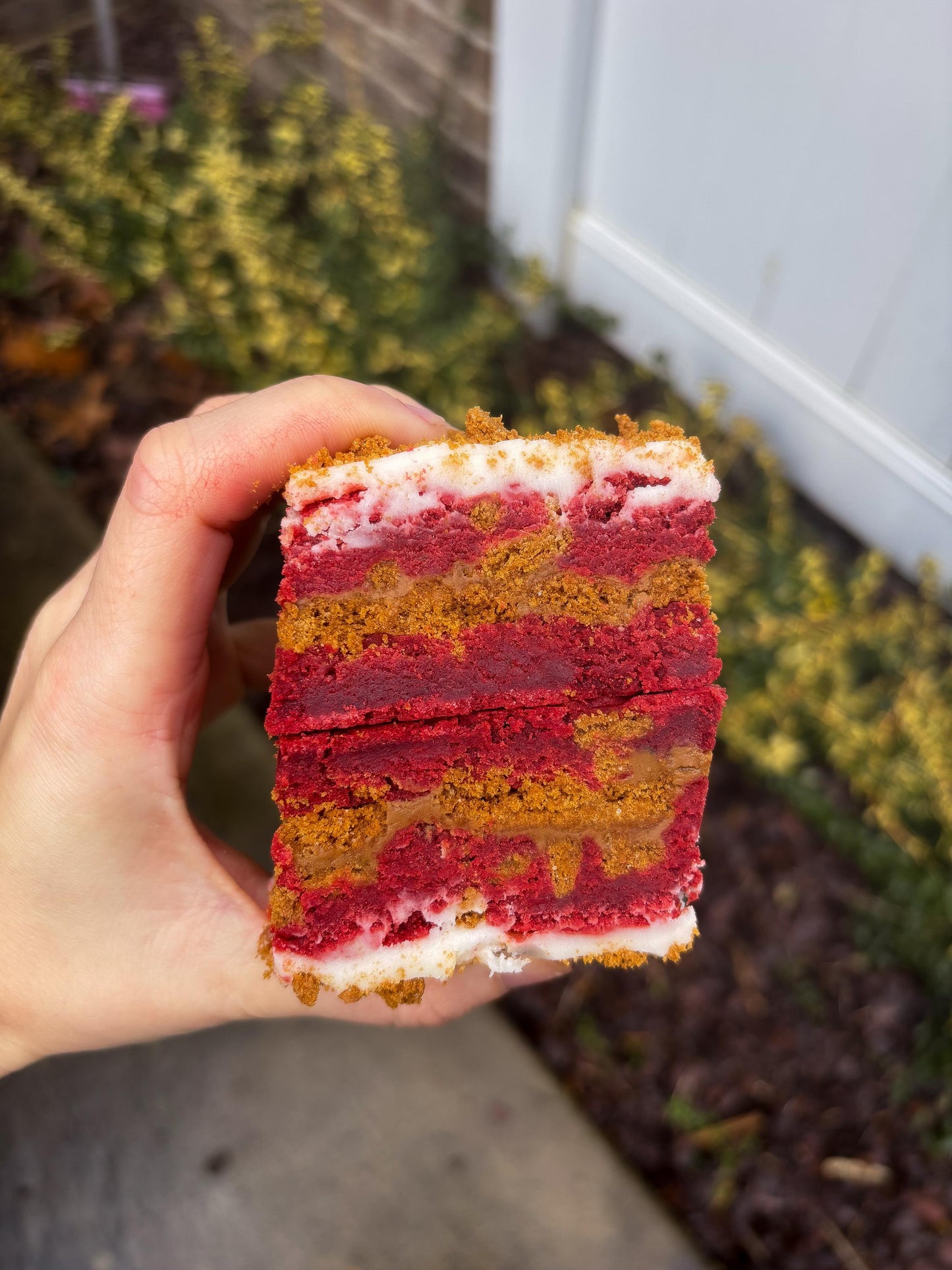 Red Velvet Cookie Butter Cookie Bars RECIPE: Gourmet New York Style (Digital Download)