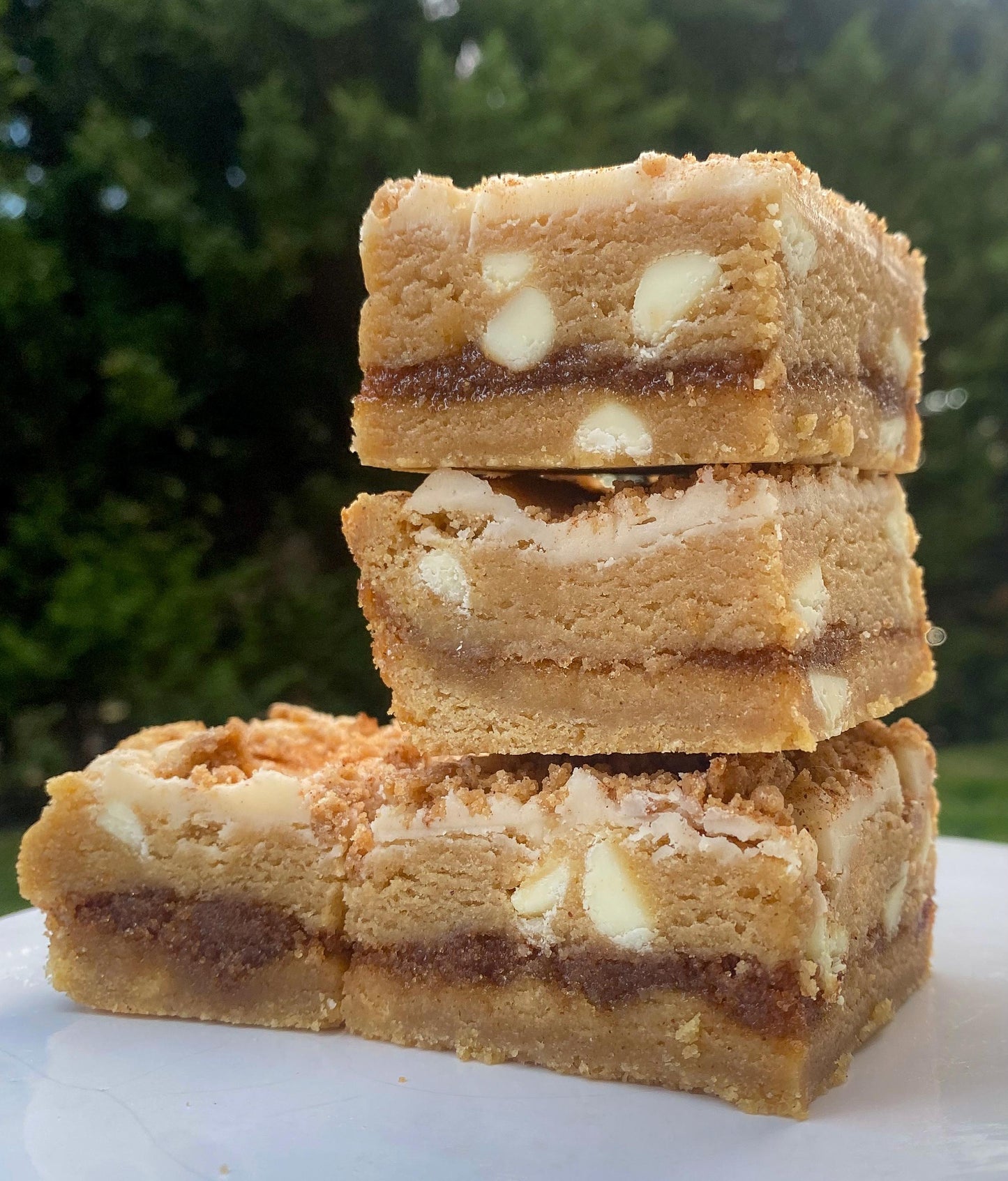 Cinnamon Roll Cookie Bar Recipe: Gourmet Stuffed Cookie Bars (Digital Download)