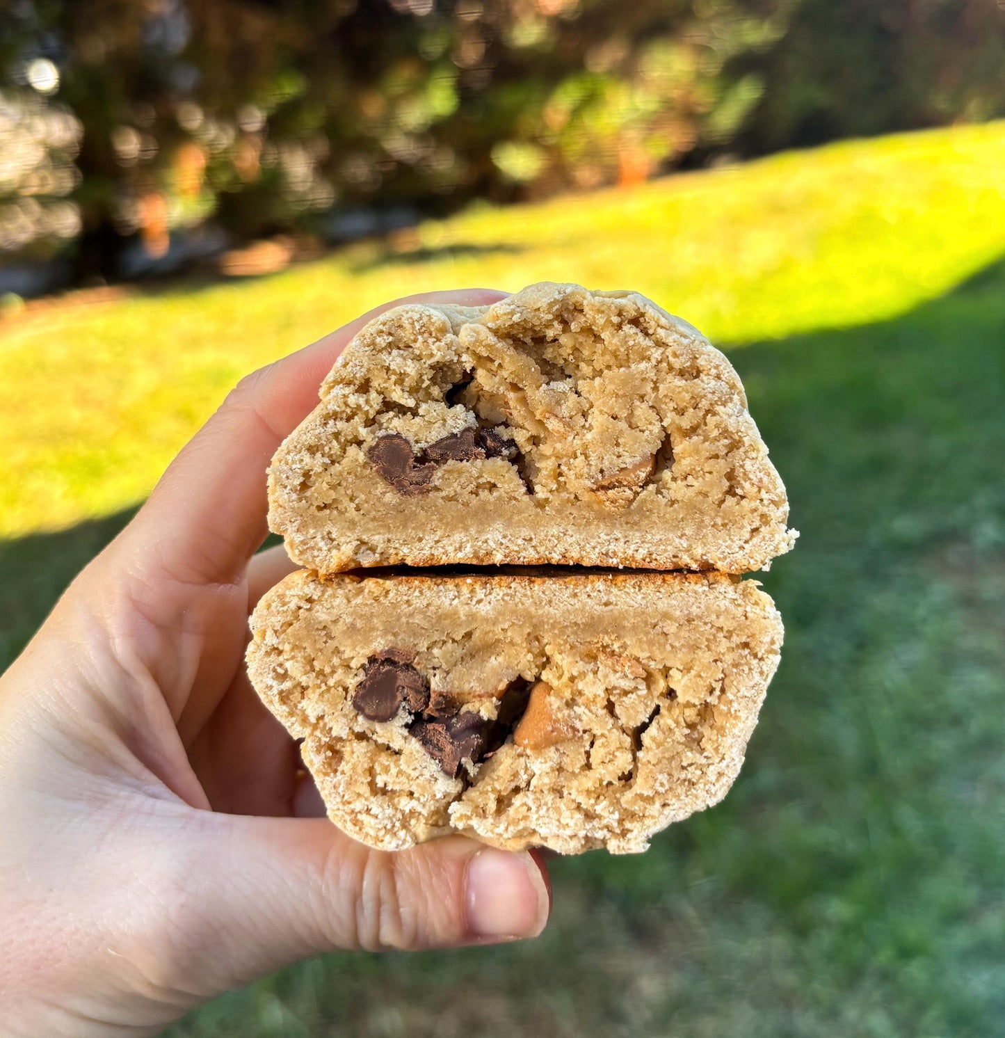 Gluten-Free Peanut Butter Protein Cookie Recipe: New York Style (Digital Download)
