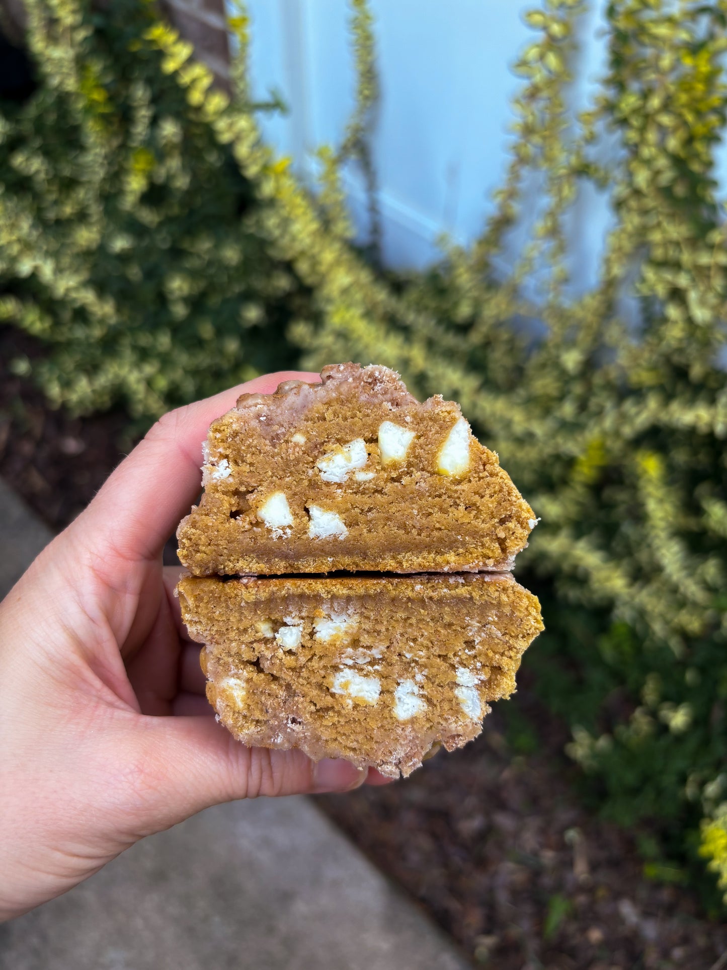 Fall Stuffed Cookie Bundle 2026