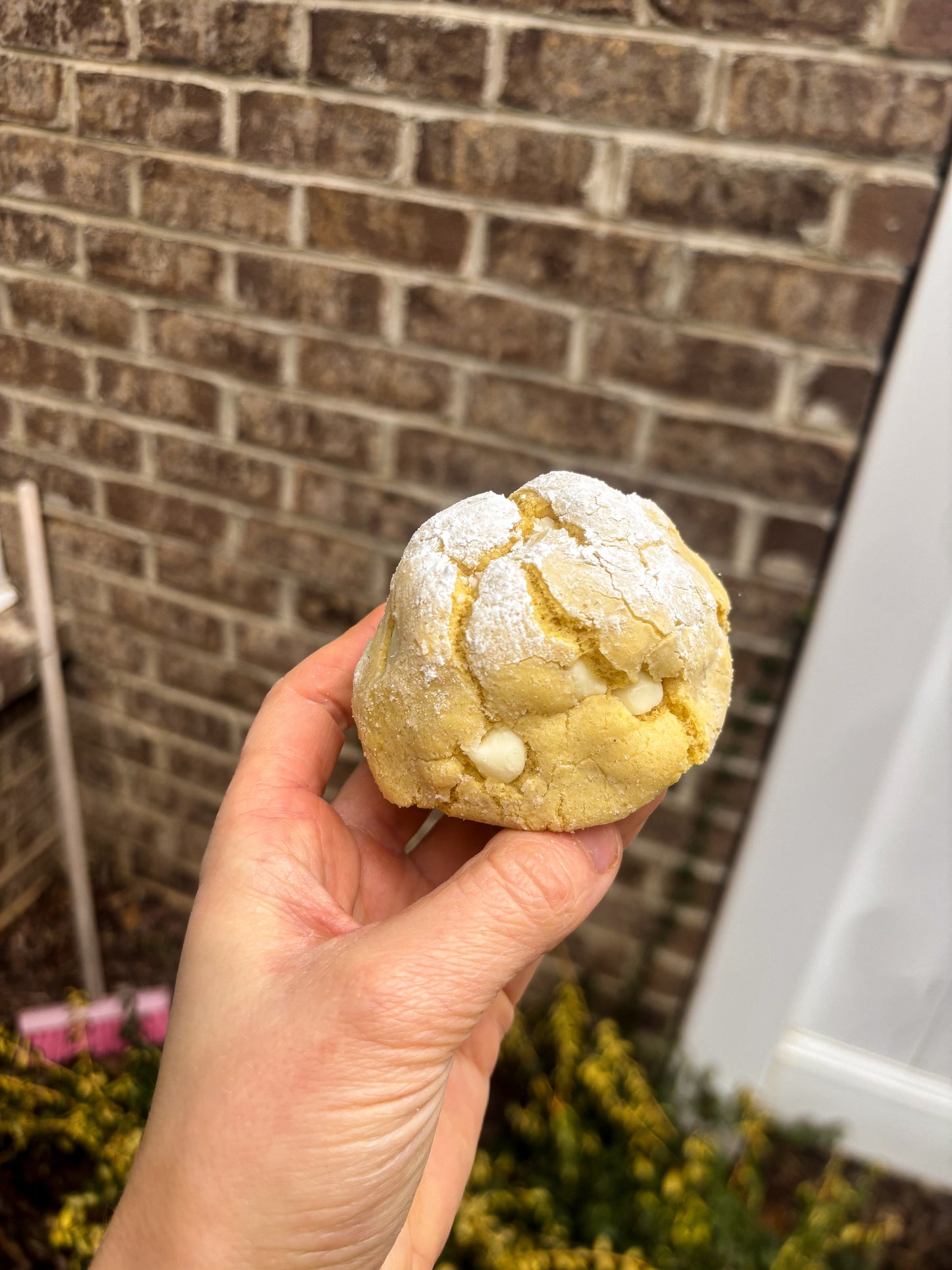Lemon Crinkle Cookie Recipe
