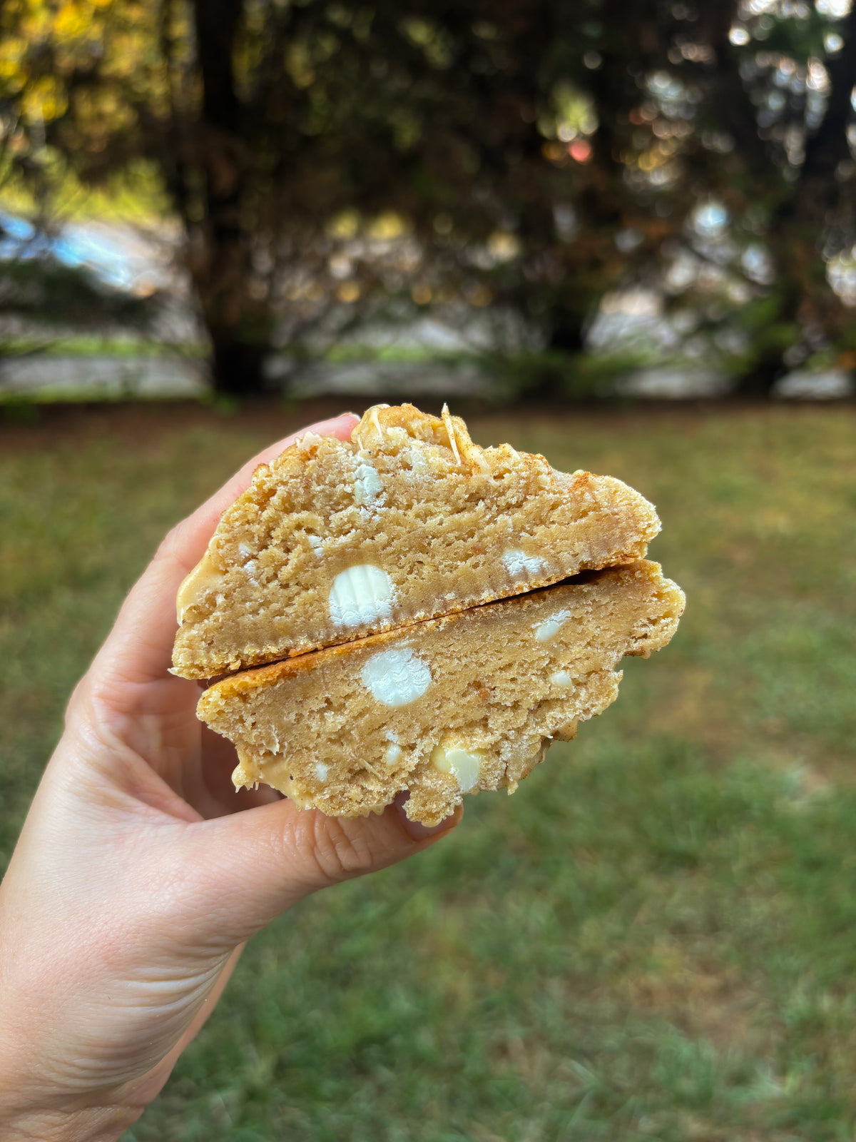 Fall Bakery Style Cookie Recipes 2026