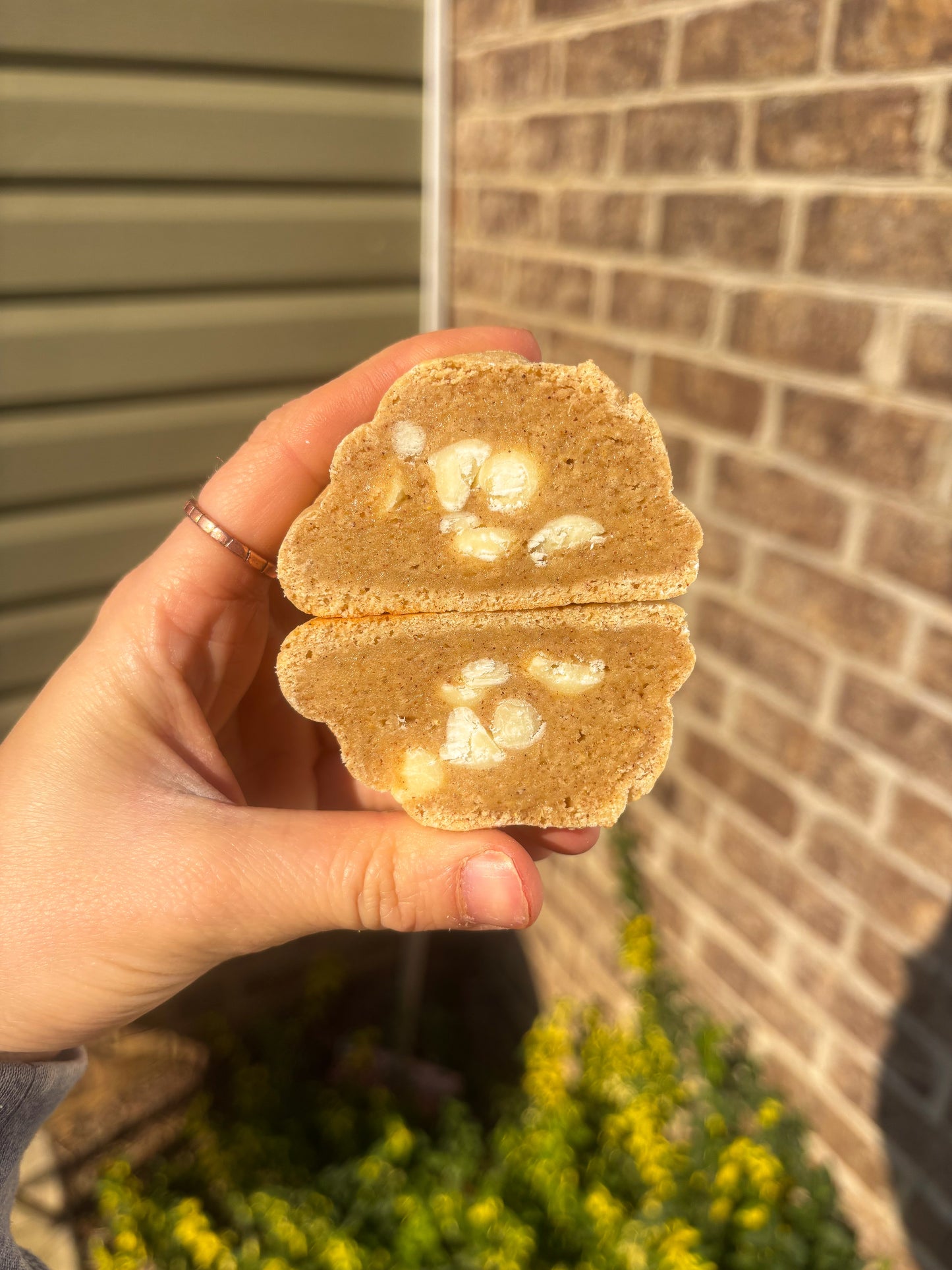 Cinnamon Waffle Cone Protein Cookie Recipe