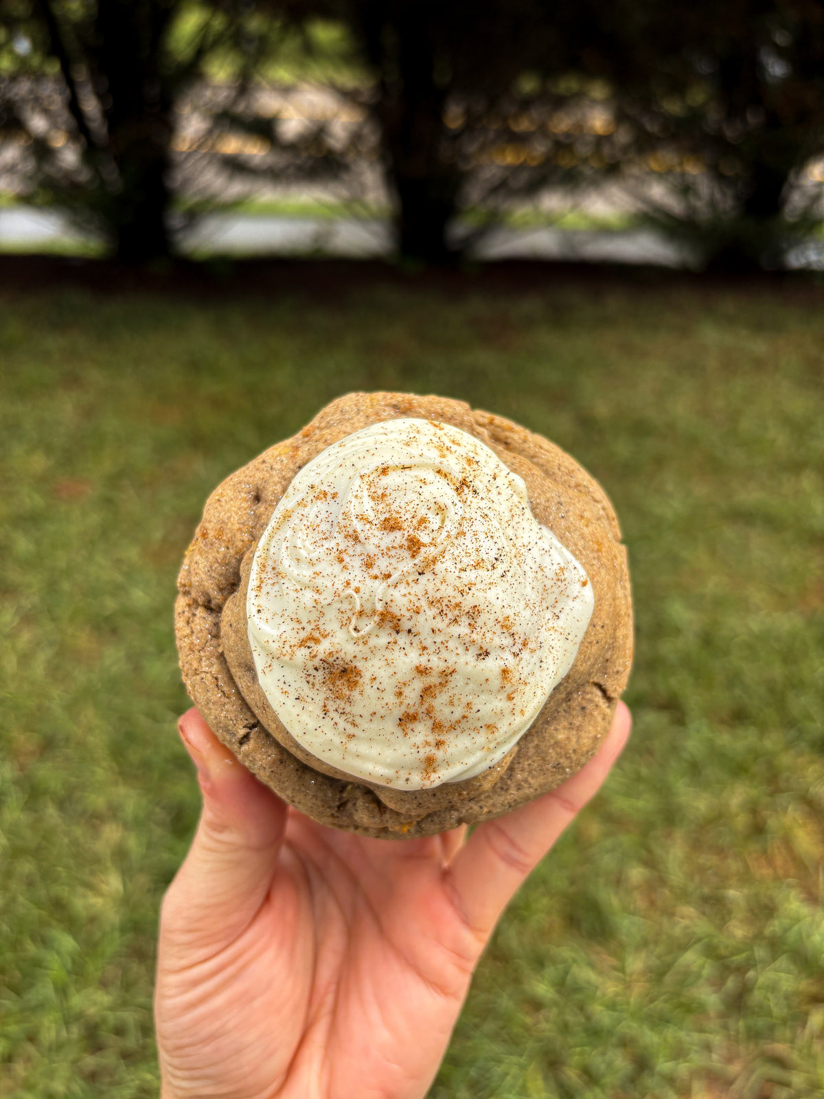 Fall Bakery Style Cookie Recipes 2026